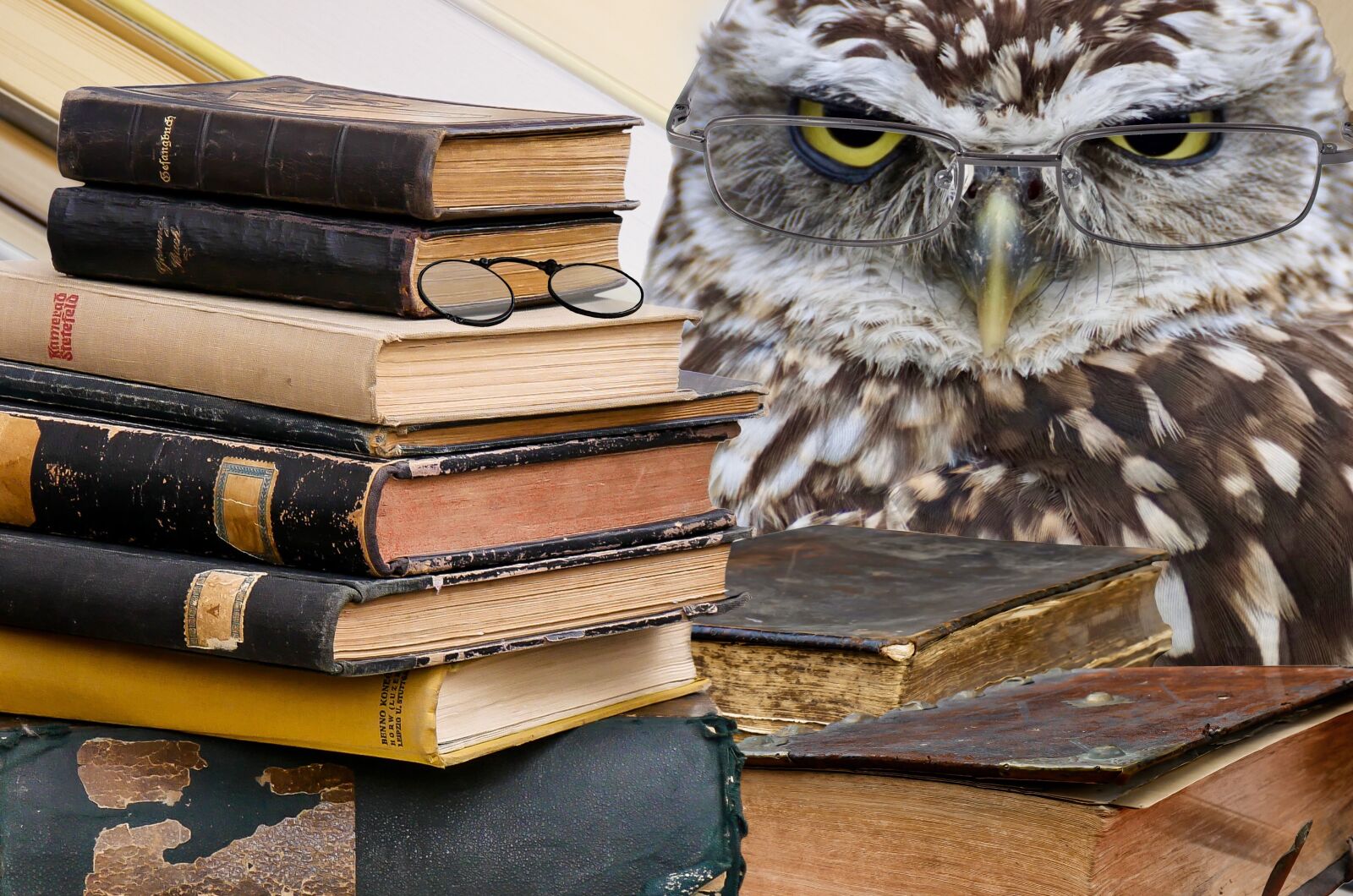 Nikon D5100 sample photo. Owl, books, stack photography