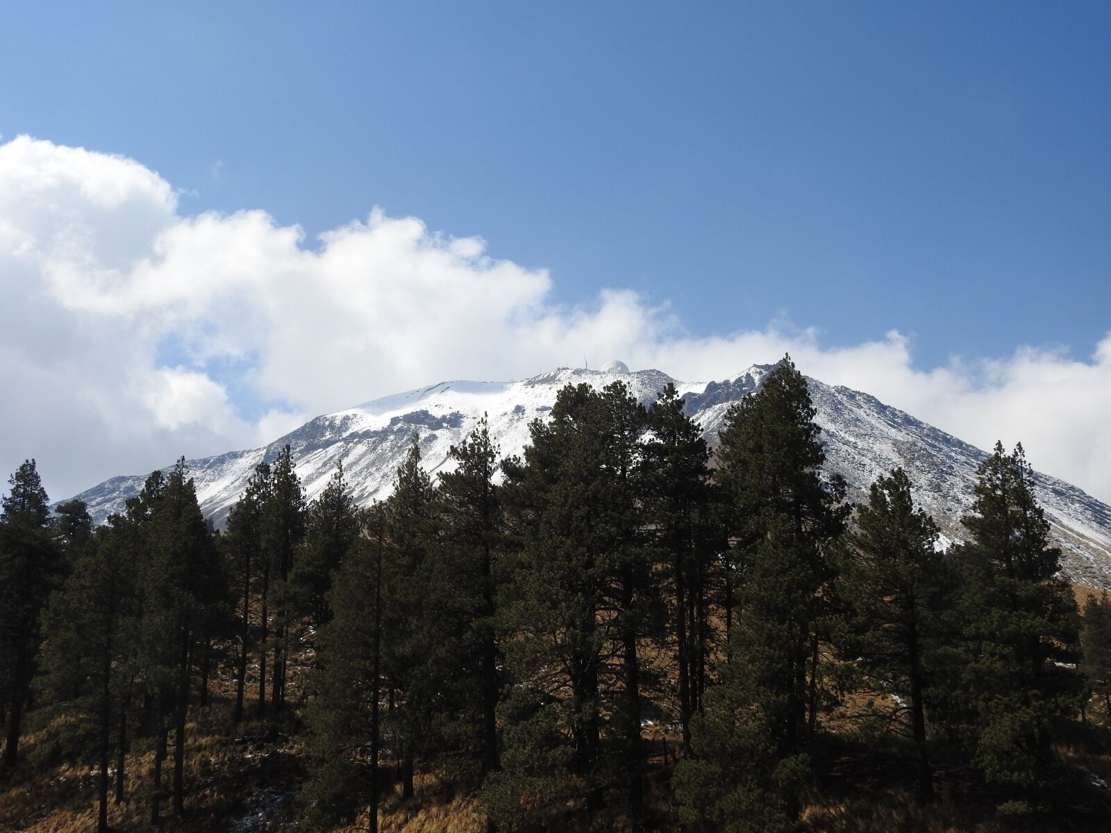 Nikon Coolpix P900 sample photo. Mountain, trees, pine photography