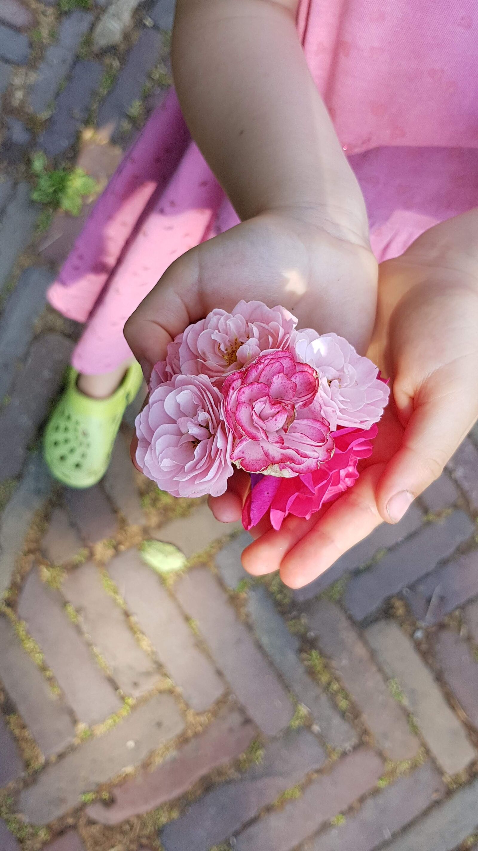 Samsung Galaxy S7 sample photo. Flower, hand, rose photography