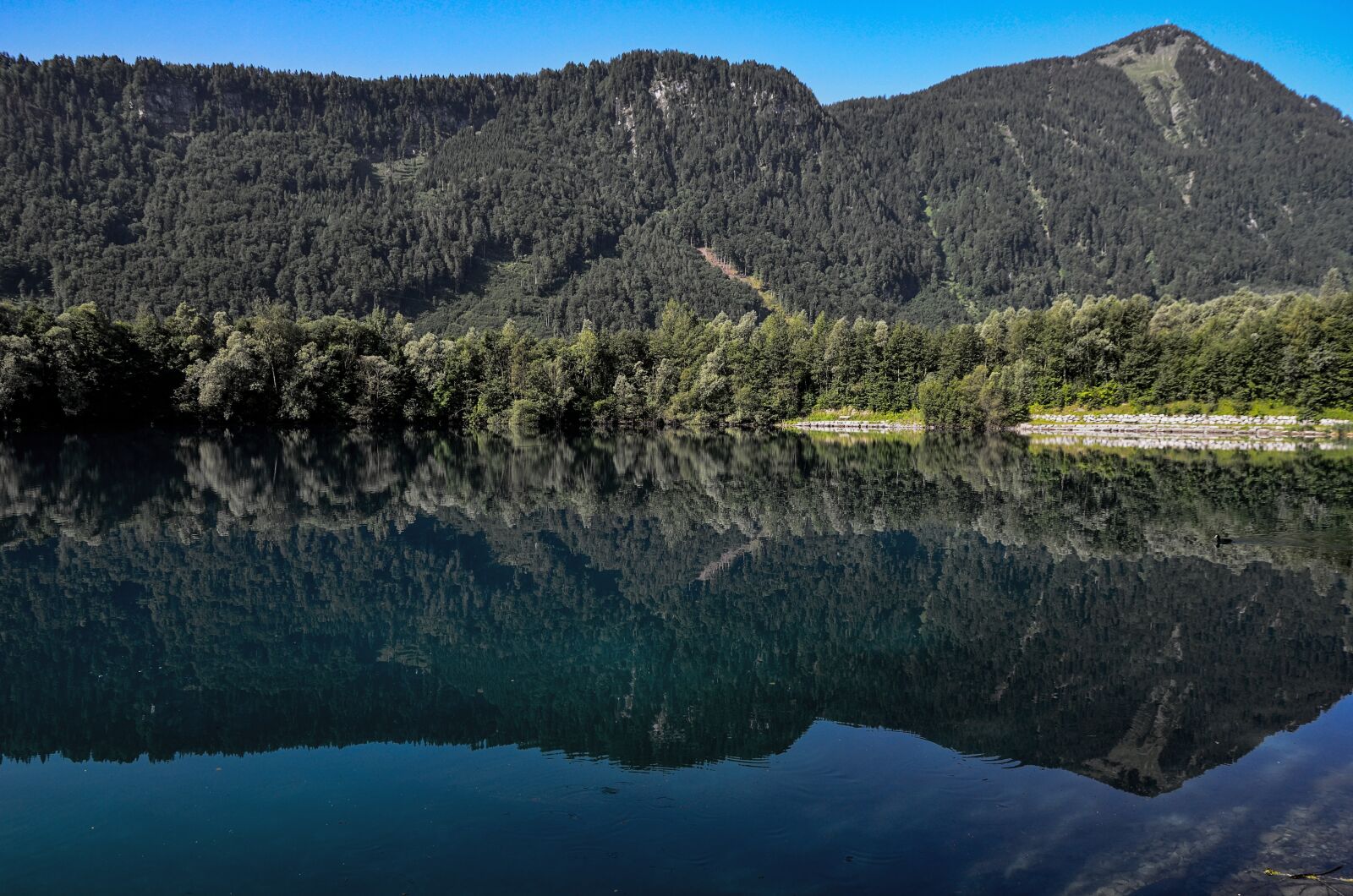 Nikon D7000 sample photo. Mirroring, water, nature photography
