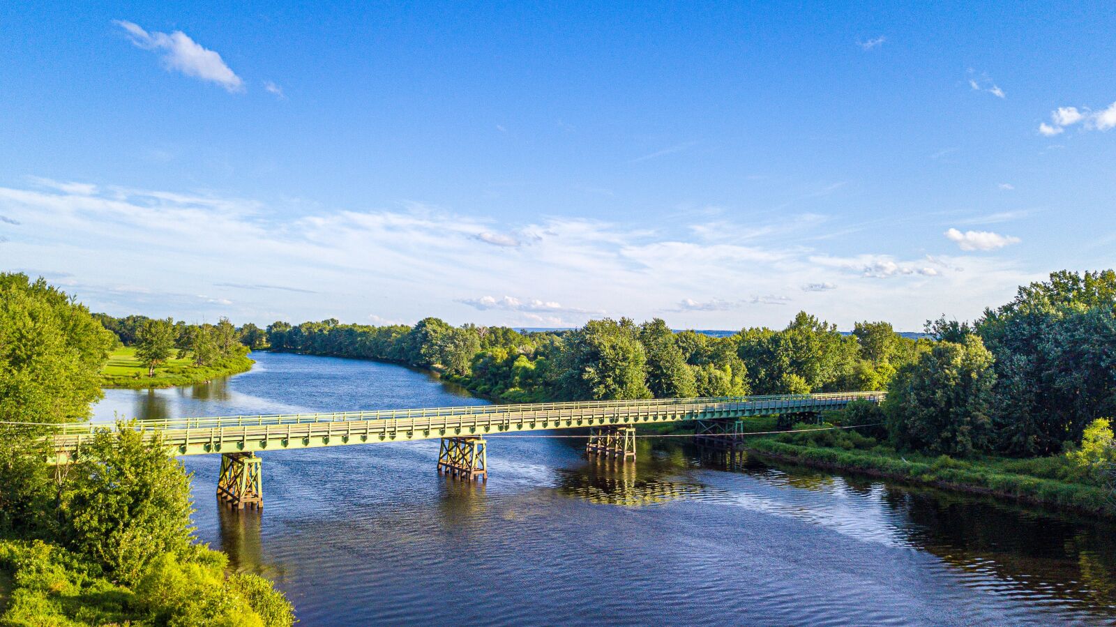 DJI FC220 sample photo. Bridge, summer, city photography