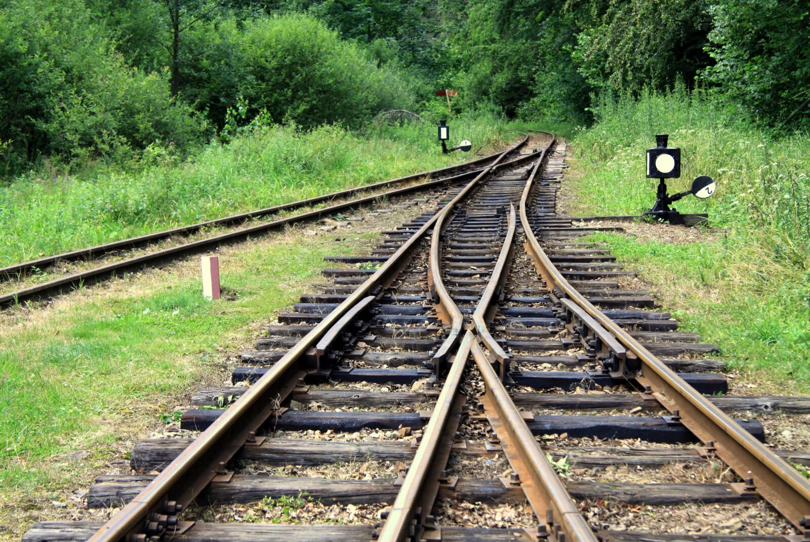 Canon EOS 50D sample photo. Track, summer, landscape photography