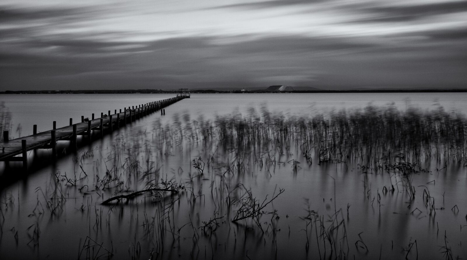 Nikon D300S sample photo. Steinhuder sea, web, autumn photography