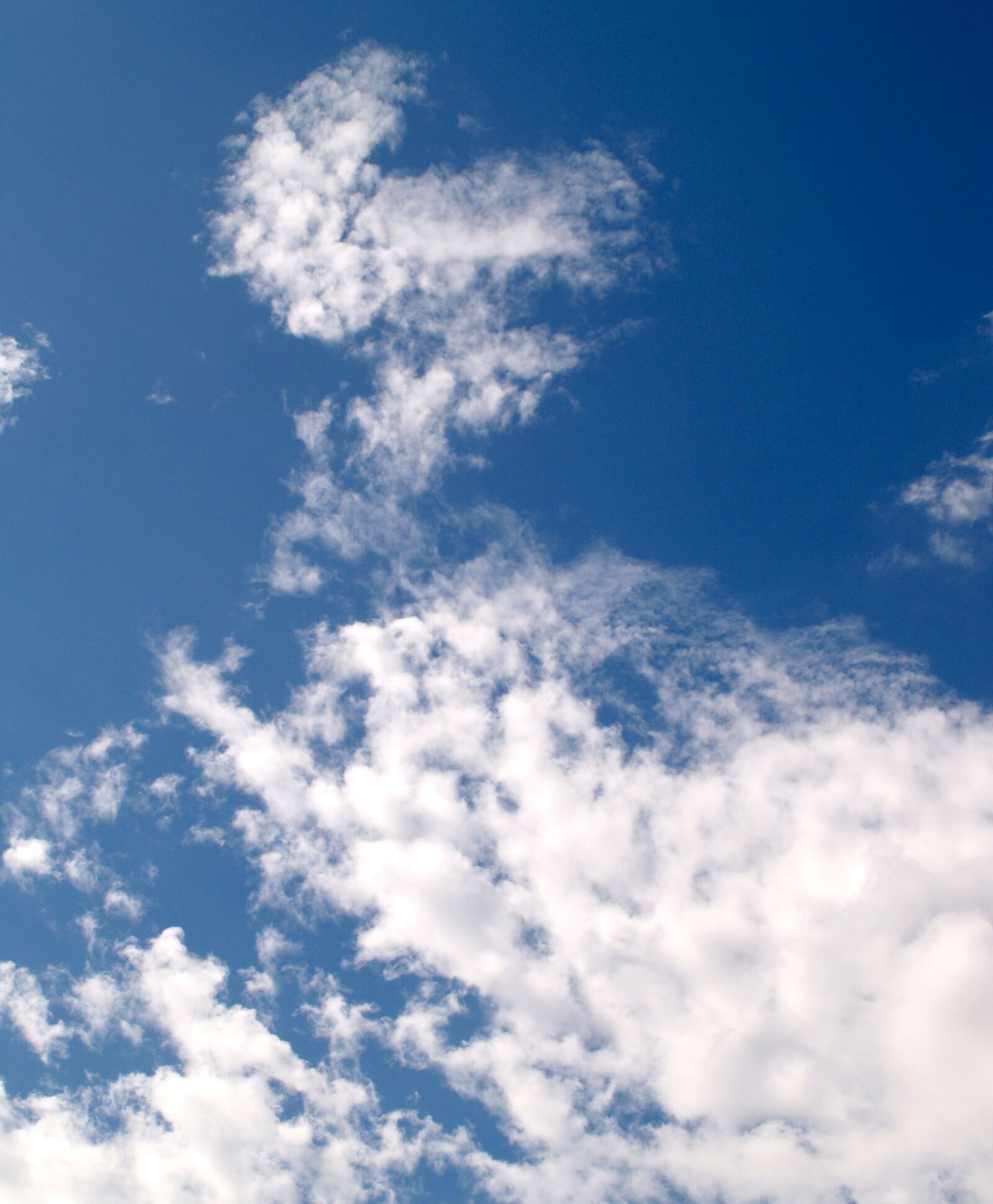 Olympus E-300 (EVOLT E-300) sample photo. Clouds, sky, blue photography