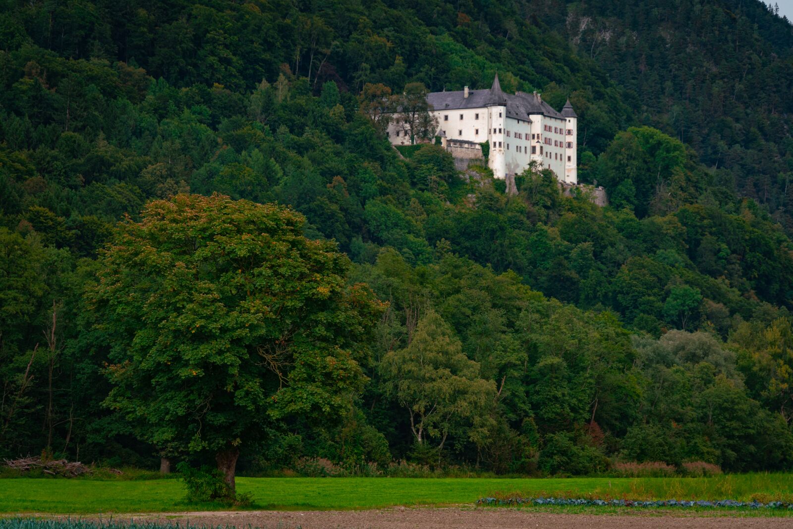 Sony a7R II sample photo. Tratzberg castle, castle, tyrol photography