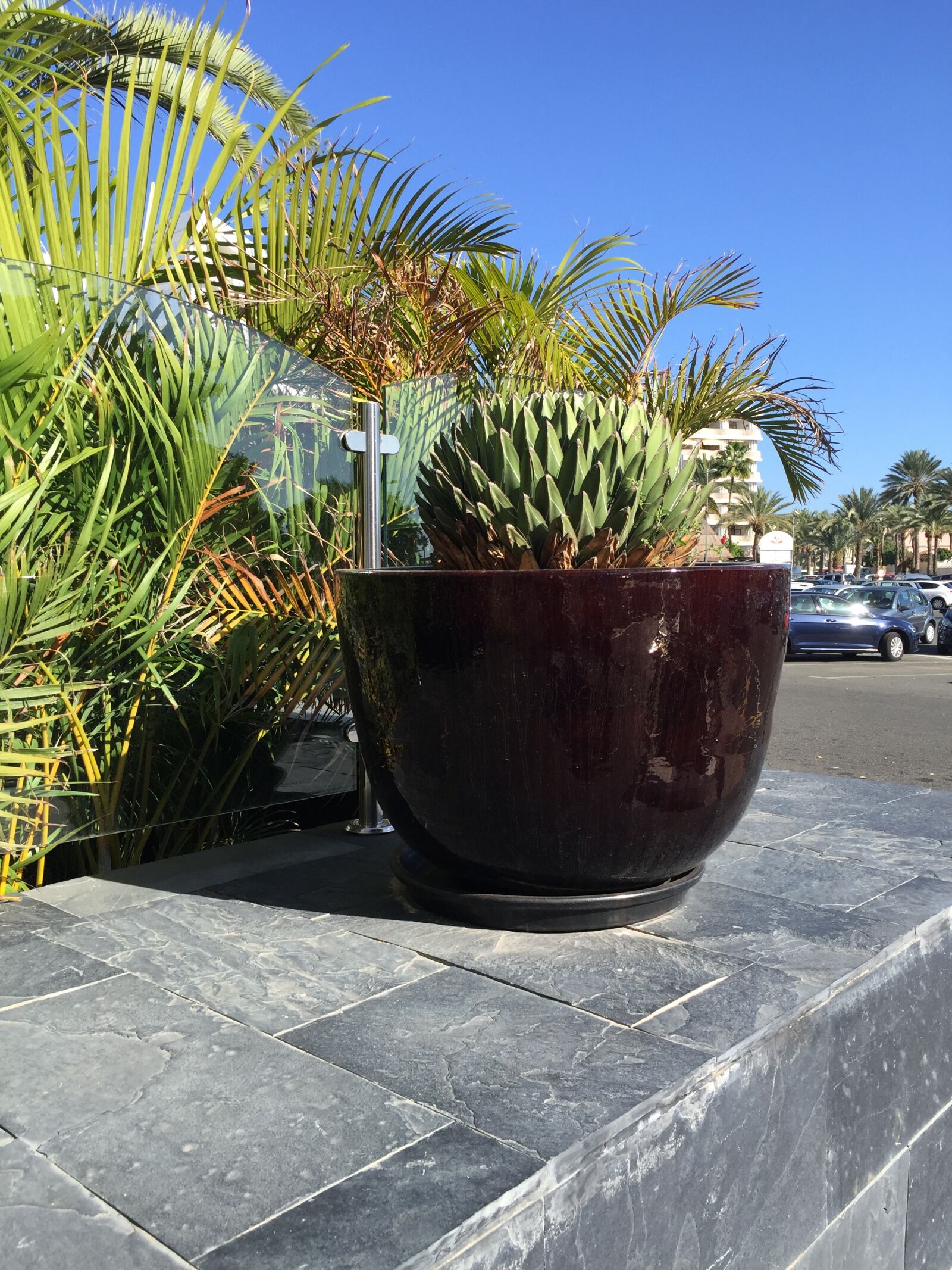 Apple iPhone 6 sample photo