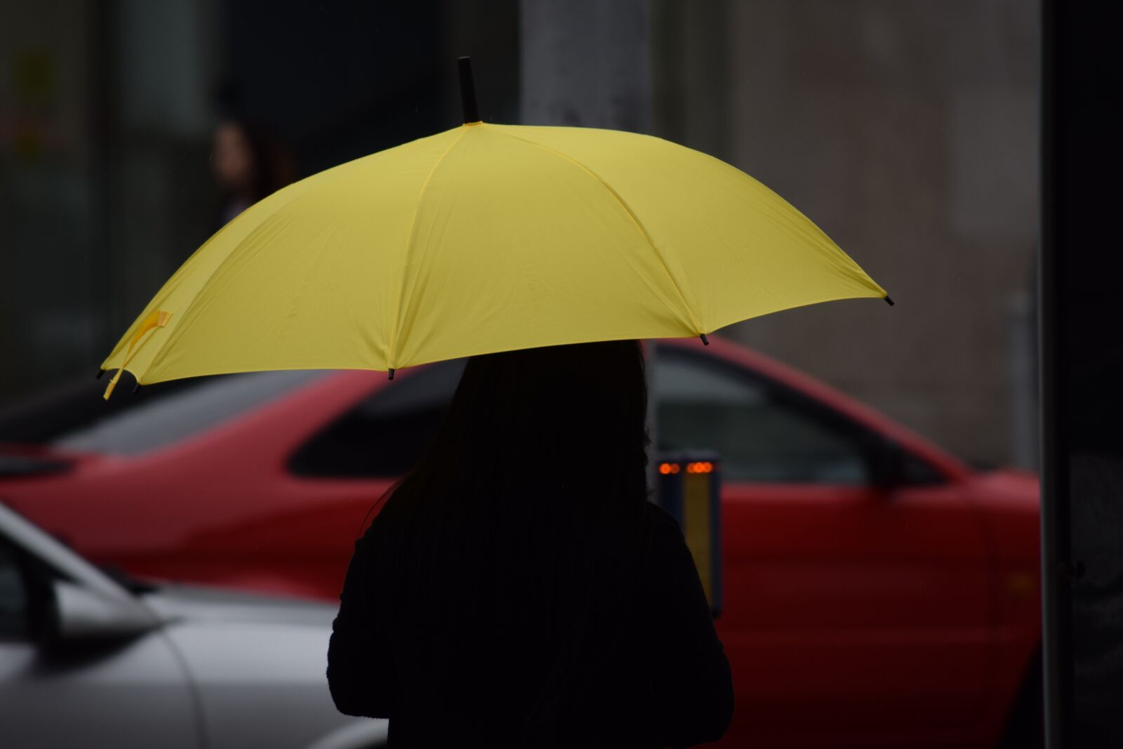 Nikon D5300 sample photo. Umbrella, woman, street photography