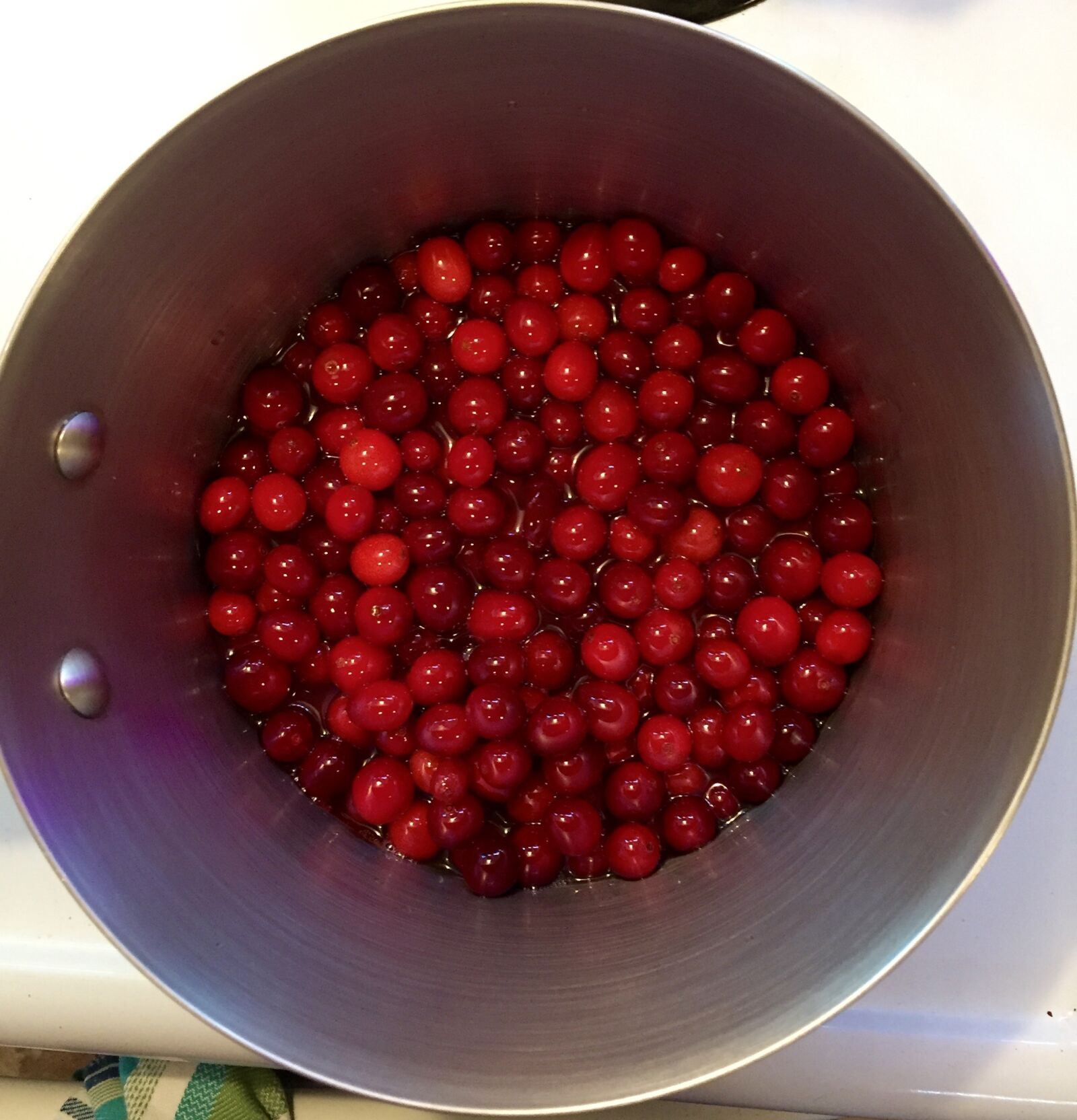 Apple iPhone 6 sample photo. Cranberries, christmas, december photography
