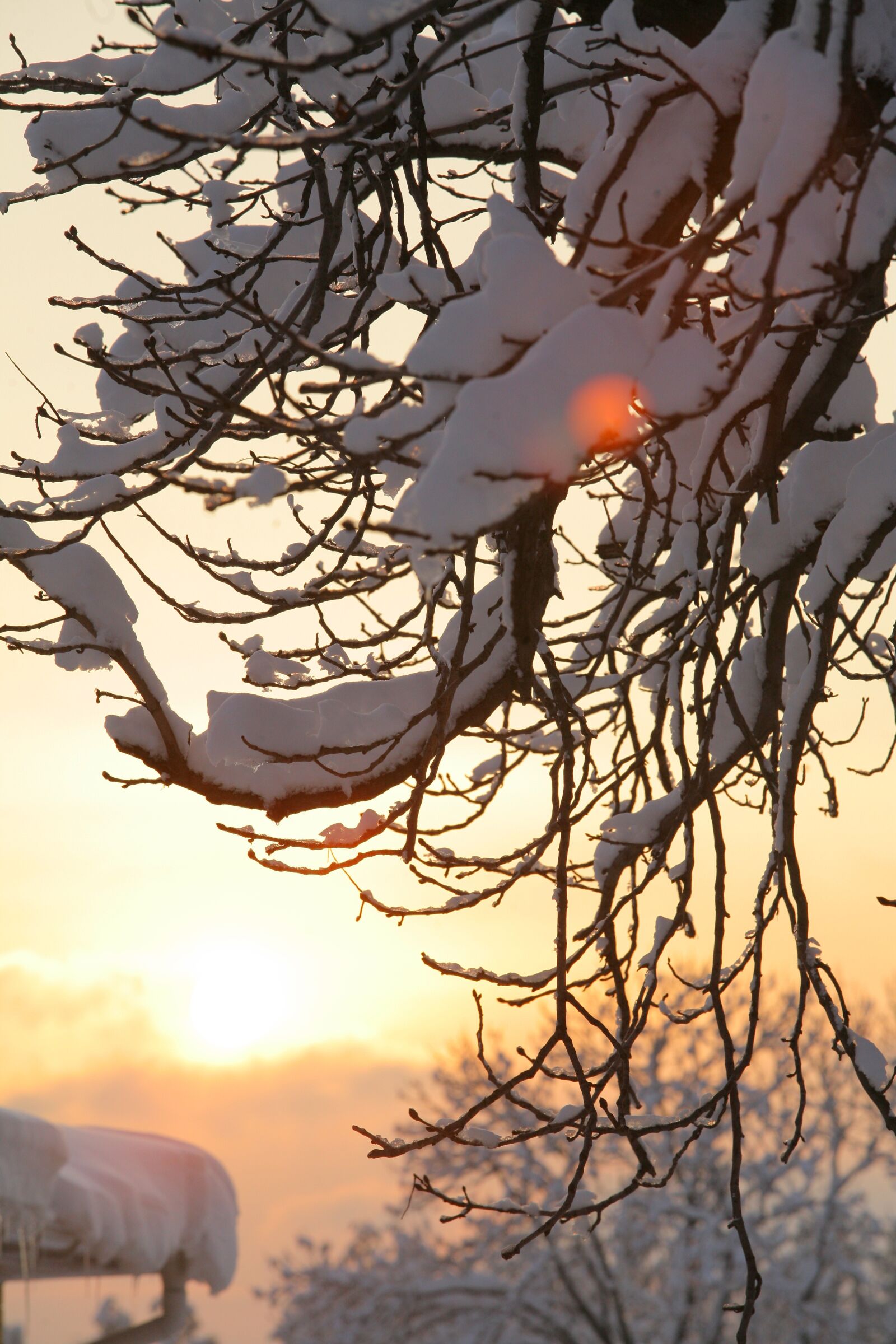 Canon EOS 5D sample photo. Winter, cold, frost photography