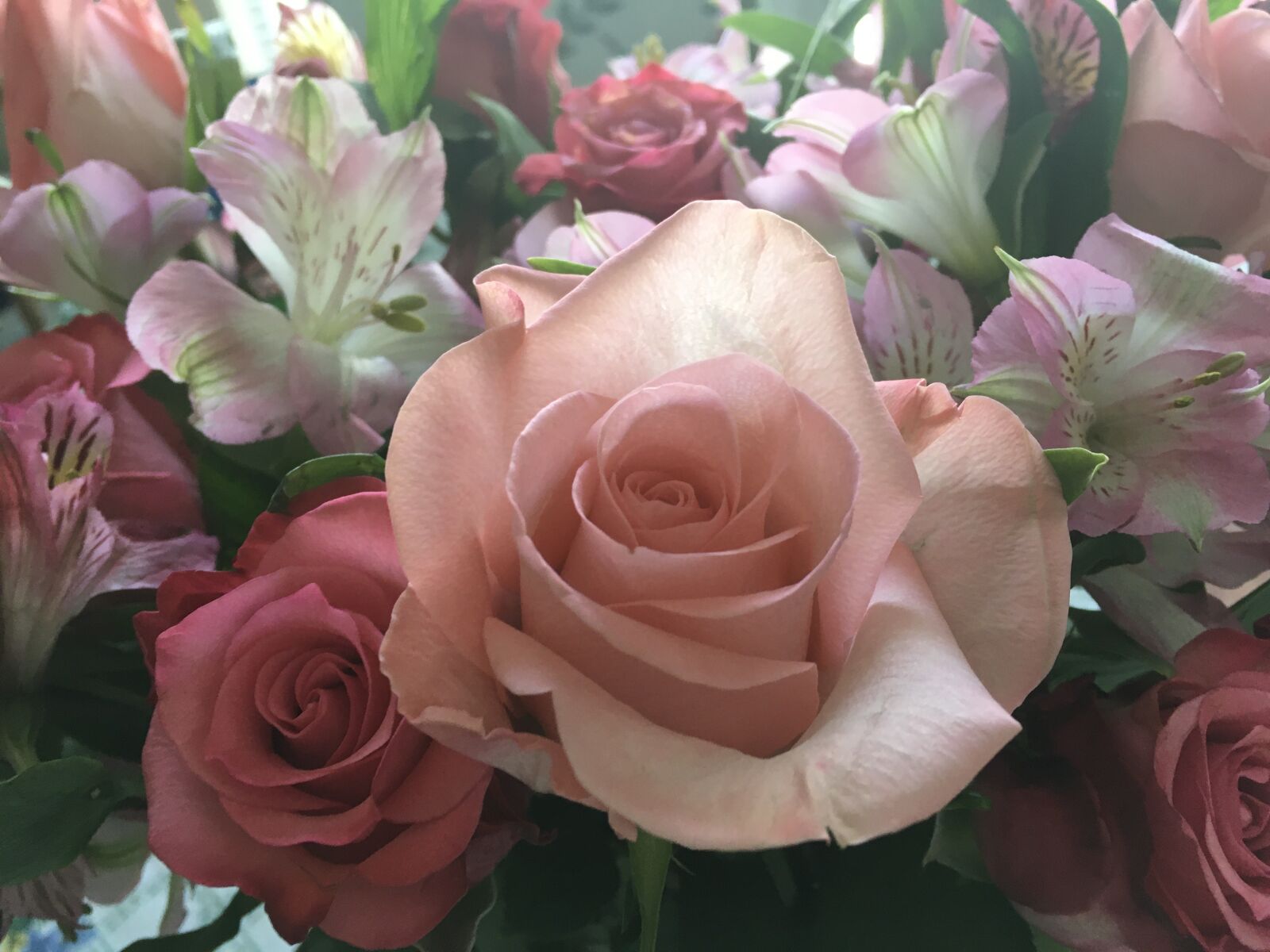 Apple iPad Pro sample photo. Flowers, pink, love photography
