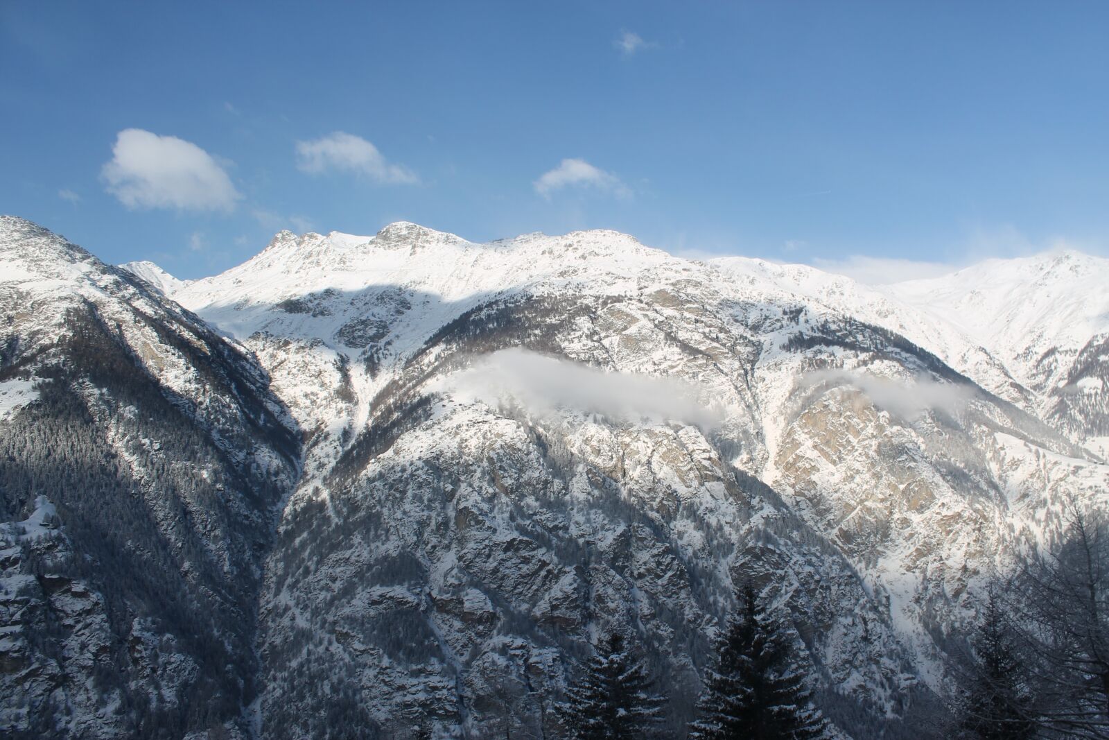 Canon EOS 1100D (EOS Rebel T3 / EOS Kiss X50) sample photo. Mountains, firs, alpine photography