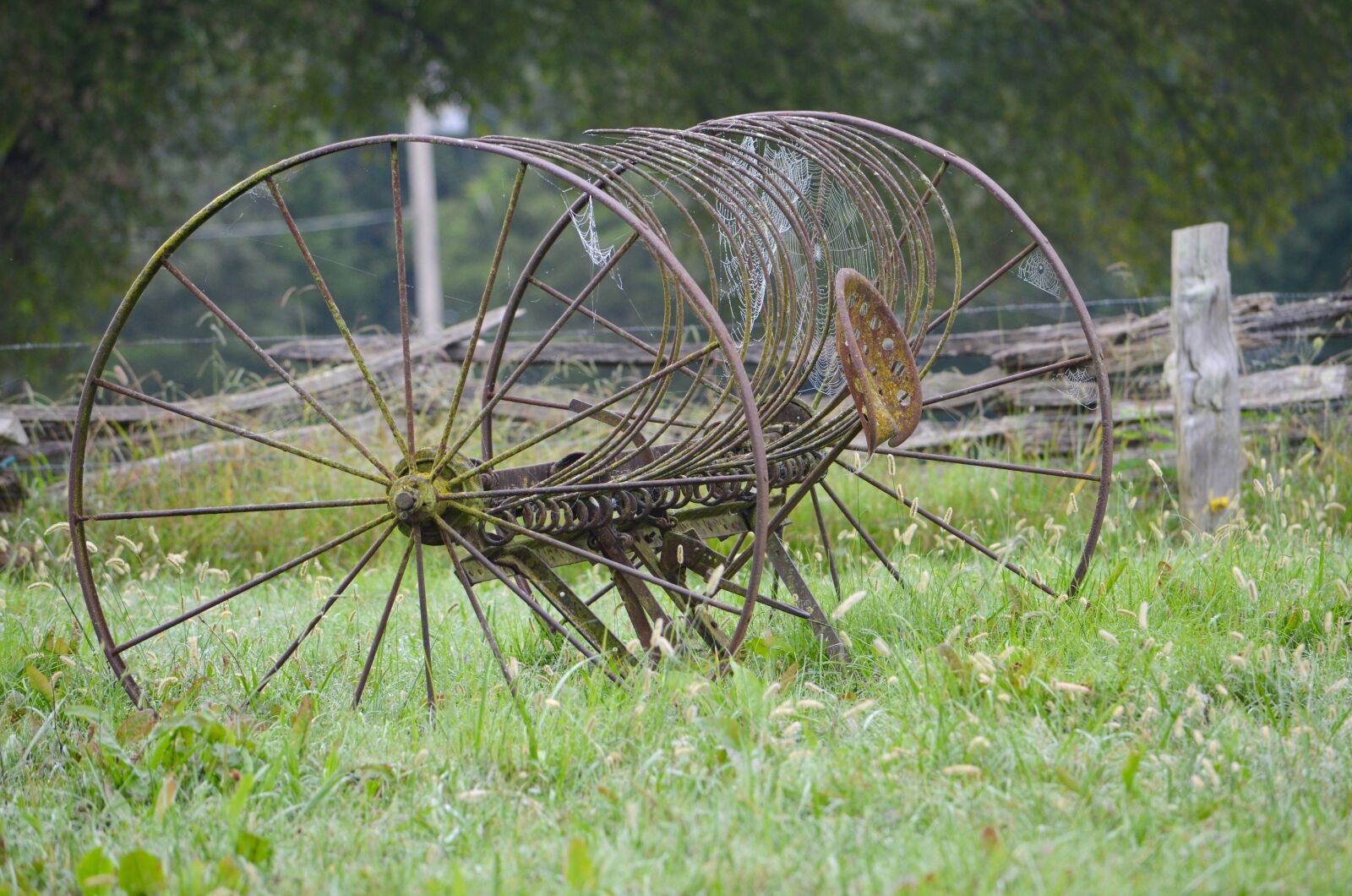 Nikon D7000 sample photo. Hay rake, vintage farm photography