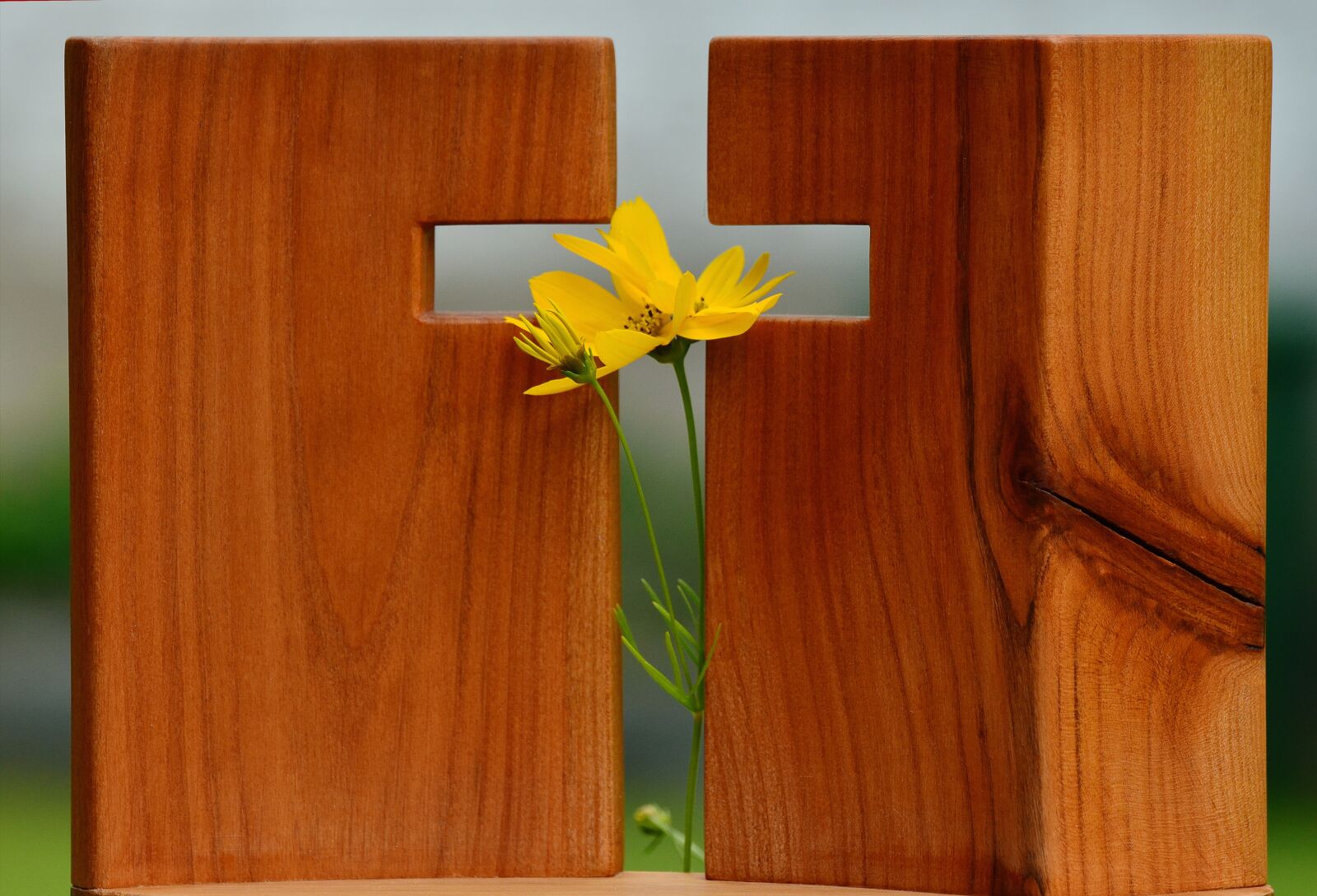 Nikon D5100 sample photo. Cross, symbol, christian faith photography