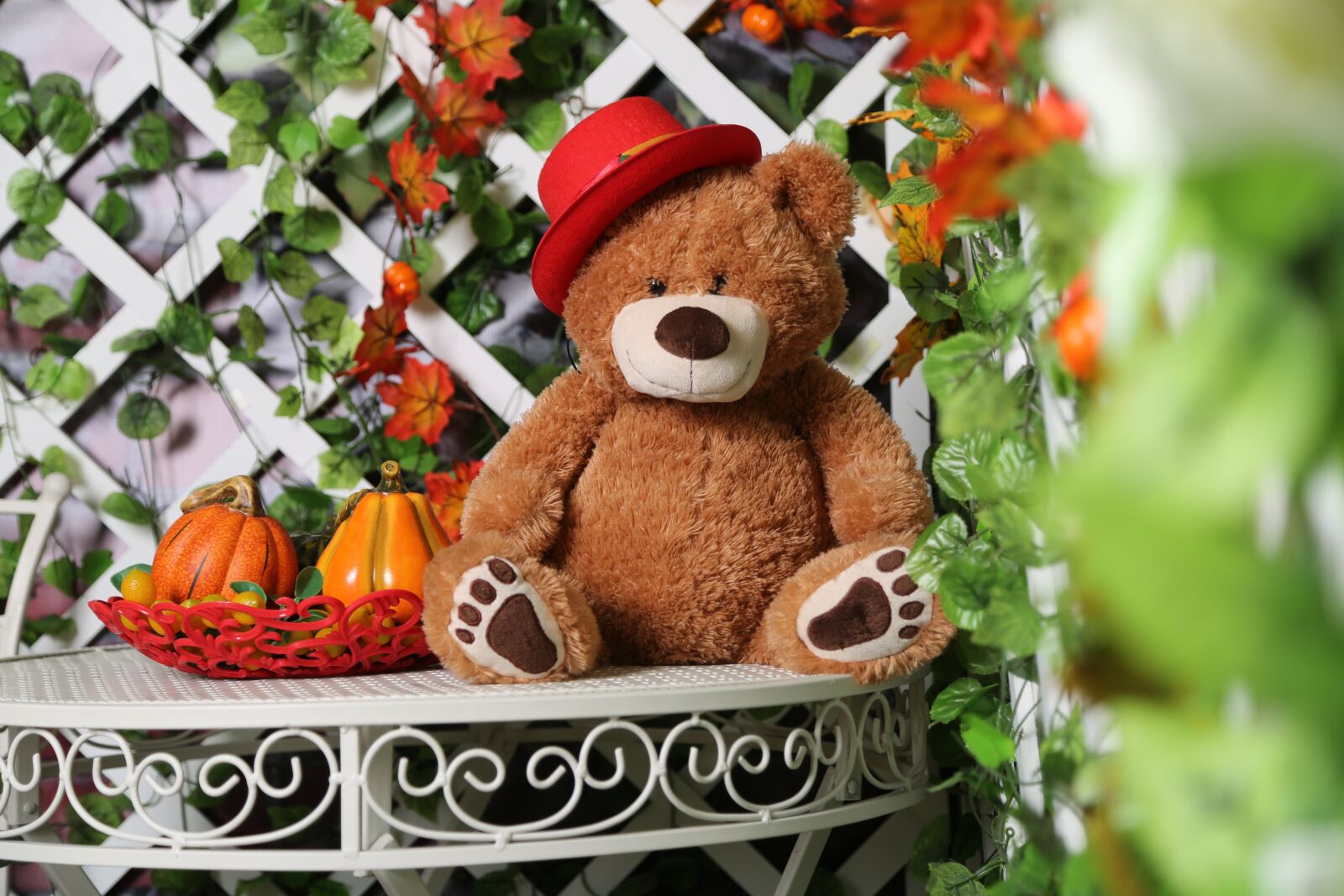 Canon EF 24-105mm F4L IS USM sample photo. Flowers, autumn, table photography