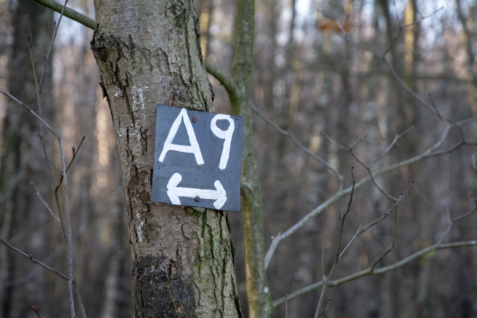 Nikon D7100 sample photo. Signpost, a 9, trail photography