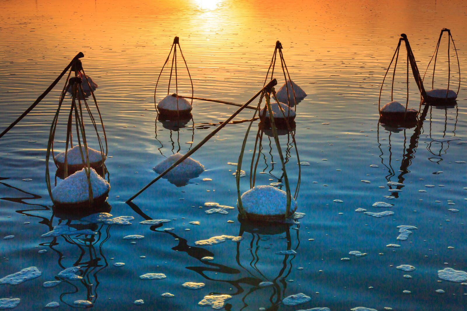 Canon EF 50mm F1.4 USM sample photo. Salt, field, nha trang photography