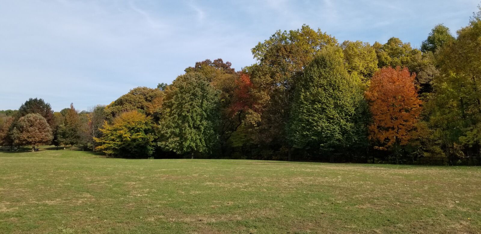 Samsung Galaxy S8 sample photo. Prospect park, brooklyn, fall photography