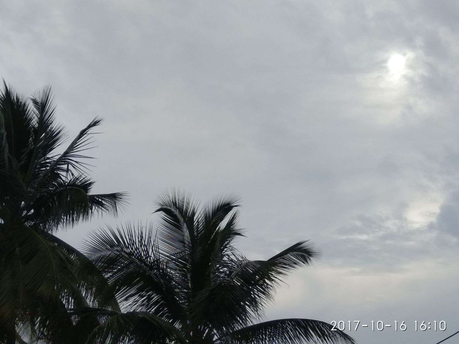 Xiaomi Redmi Note 4 sample photo