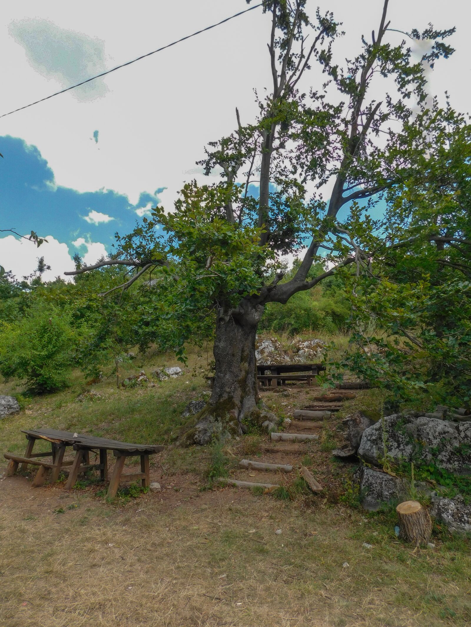 Nikon Coolpix L840 sample photo. Serenity, landscape, wood photography