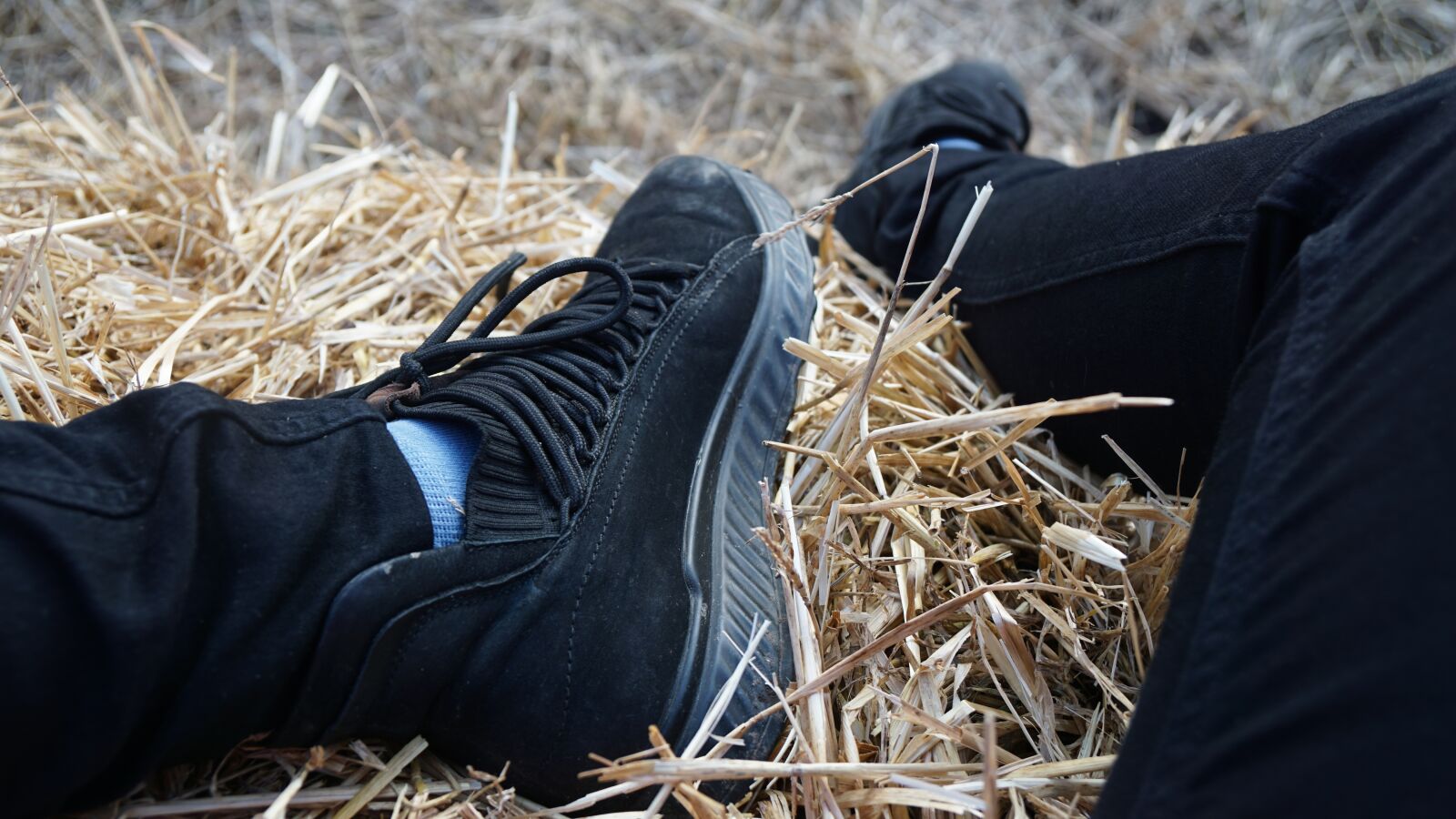 Sony a6000 + Sony Vario-Tessar T* E 16-70mm F4 ZA OSS sample photo. Shoes, hay, nature photography