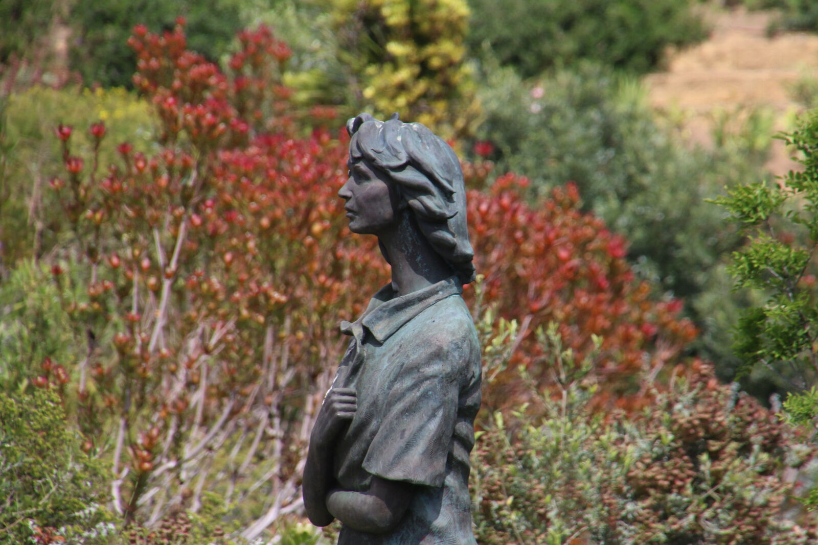 Canon EOS 7D Mark II sample photo. Fynbos, garden, girl, green photography