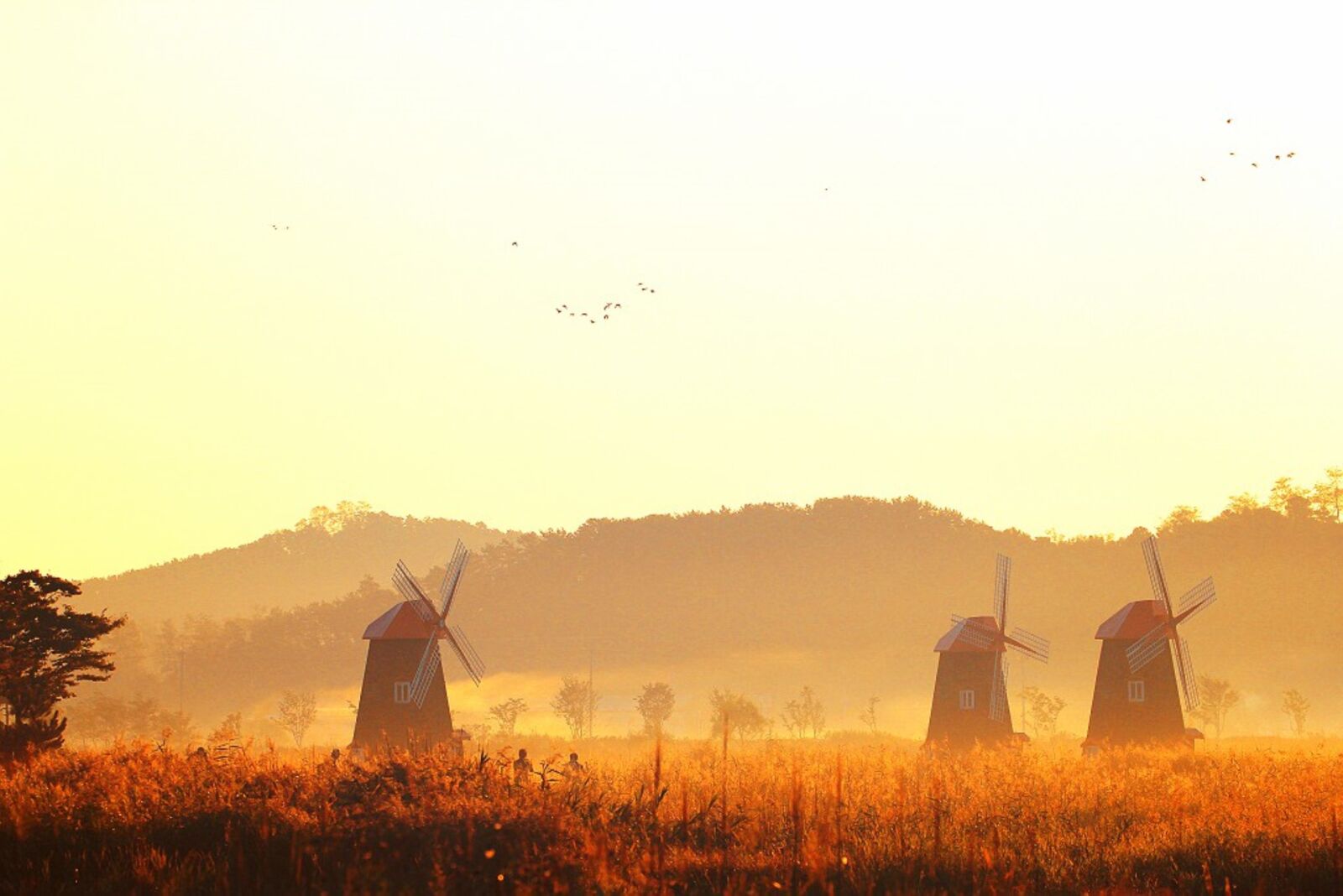 Canon EOS 60D sample photo. Windmill, fog, new photography