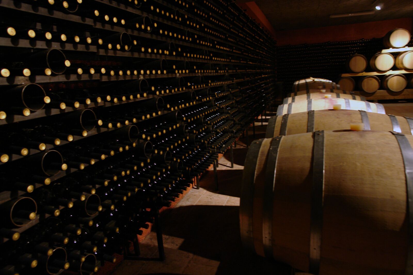 Sony DSC-R1 sample photo. Wine cellar, wine, cellar photography