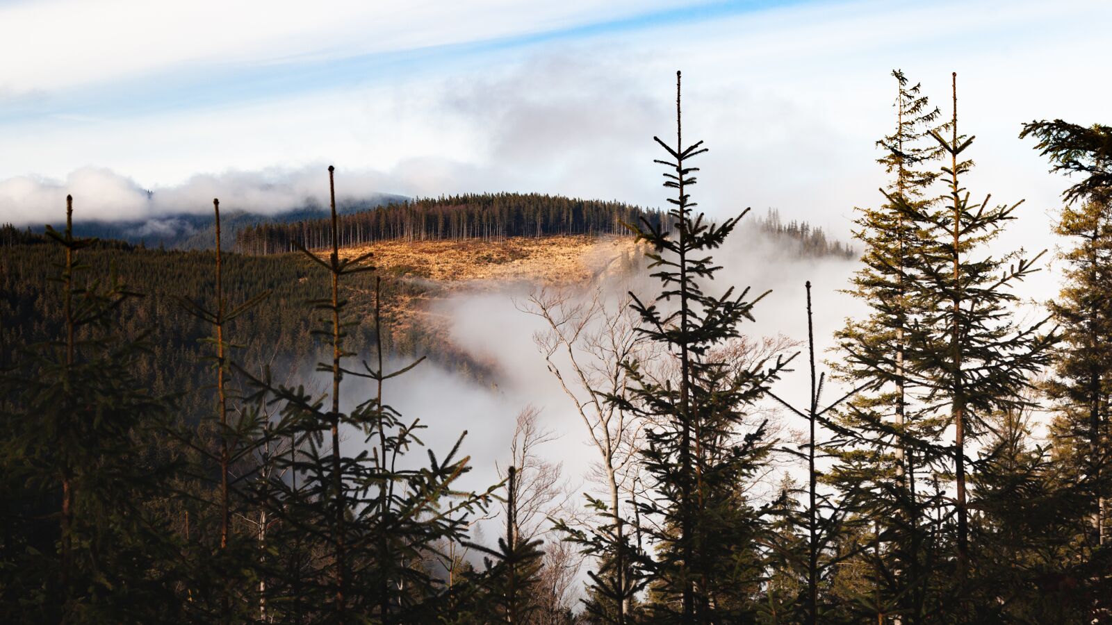 Canon EOS 5D Mark II sample photo. Pilsko, beskidy, beskids photography