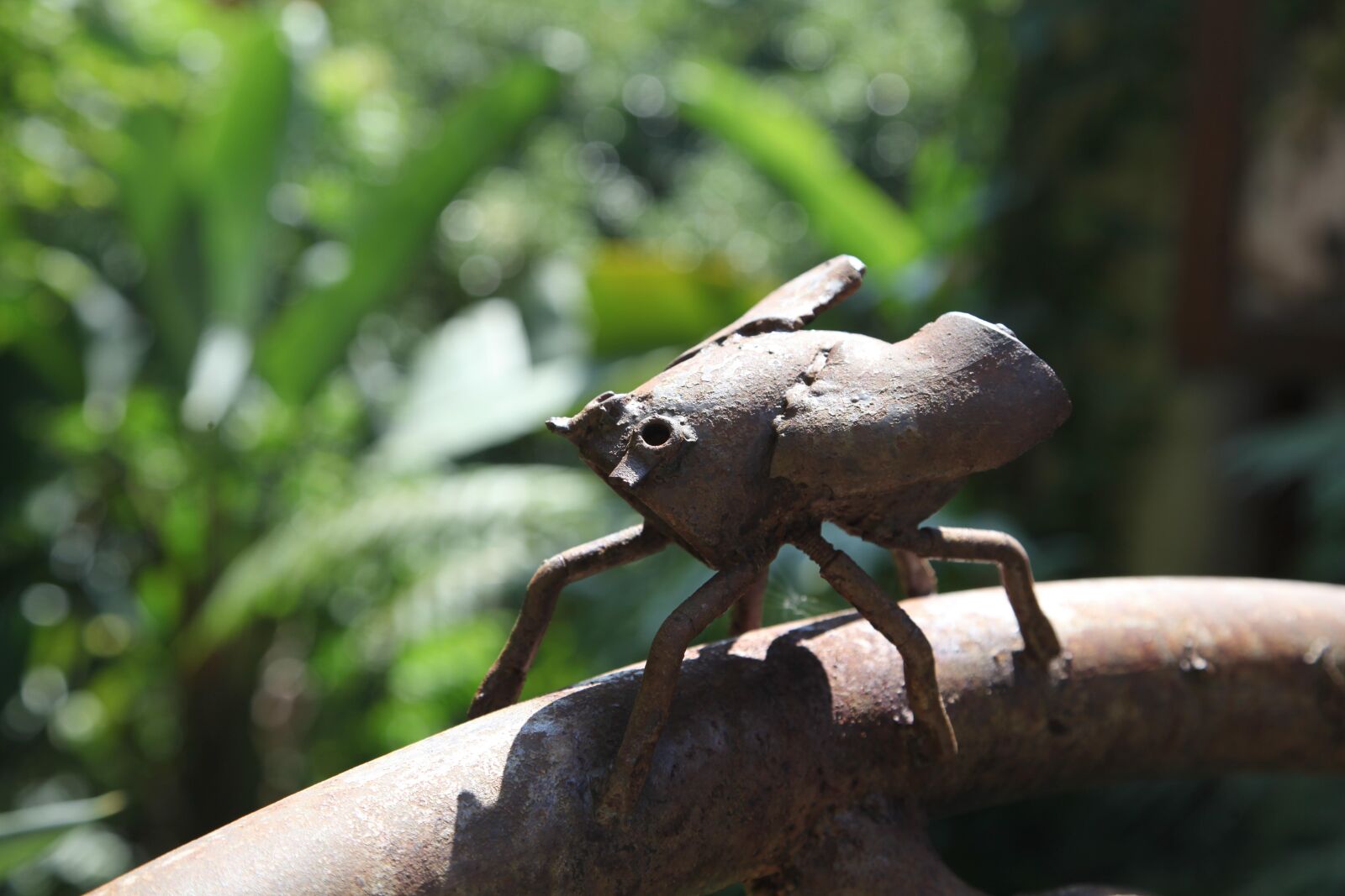 Canon EOS 5D Mark II sample photo. Beatle, nature, bug photography