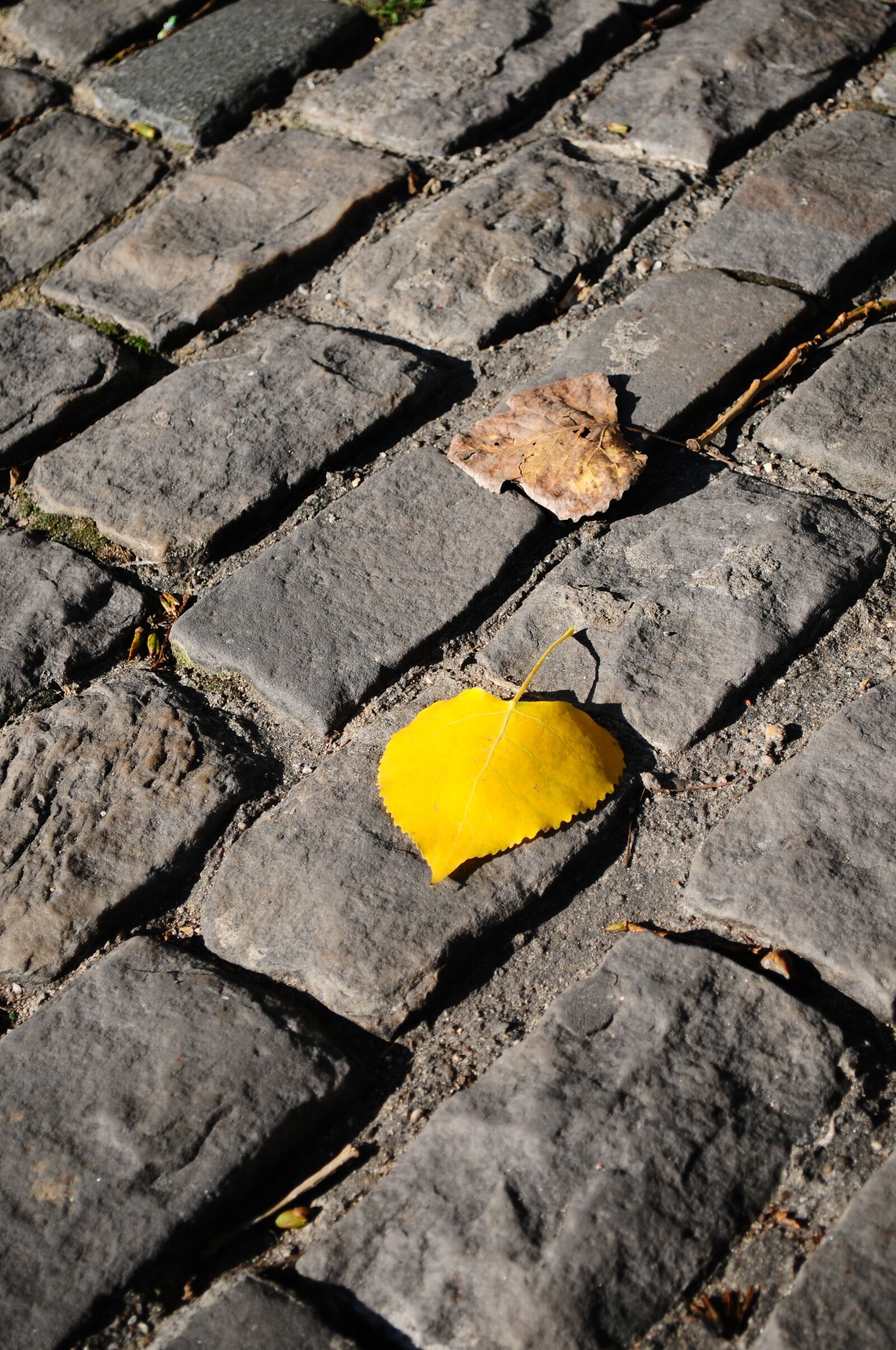 Nikon D300 sample photo. Paris, stone, background photography