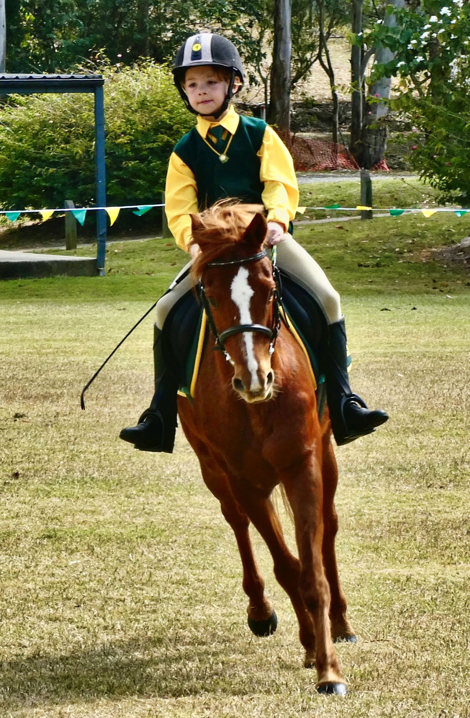 Panasonic Lumix DC-ZS70 (Lumix DC-TZ90) sample photo. Rider, junior, competition photography