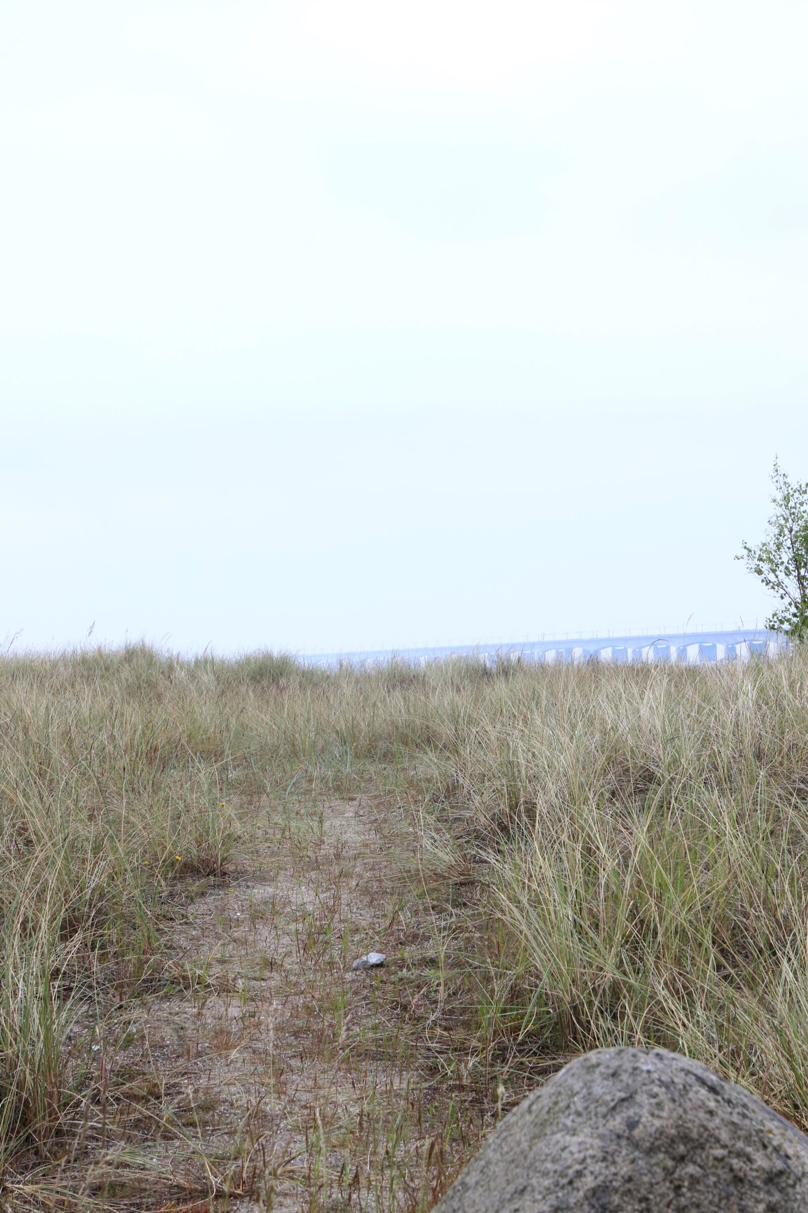 Canon EOS 7D Mark II sample photo. Bridge, foot, path, grass photography
