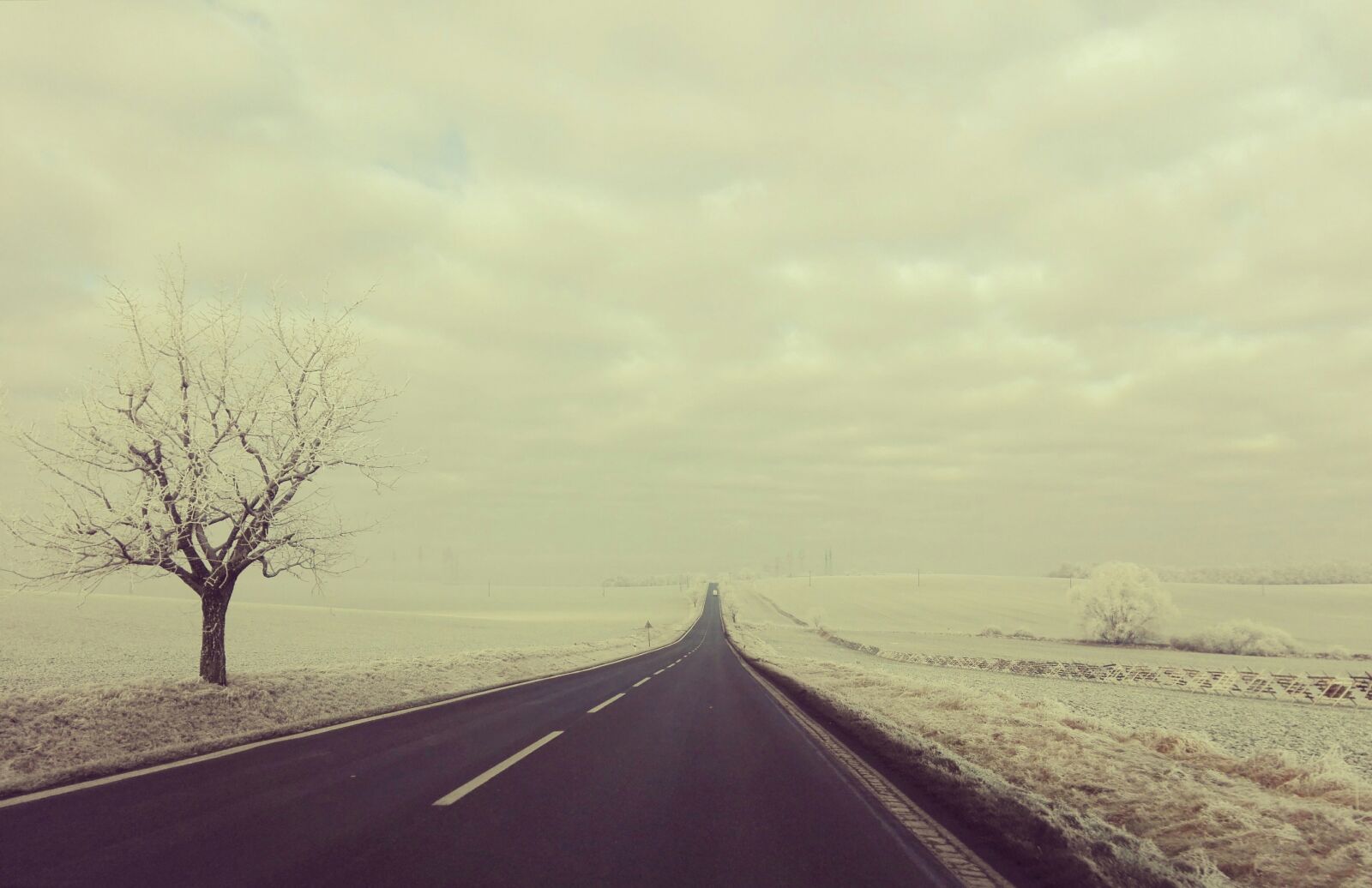 HUAWEI P8 Lite sample photo. Winter, path, snow photography
