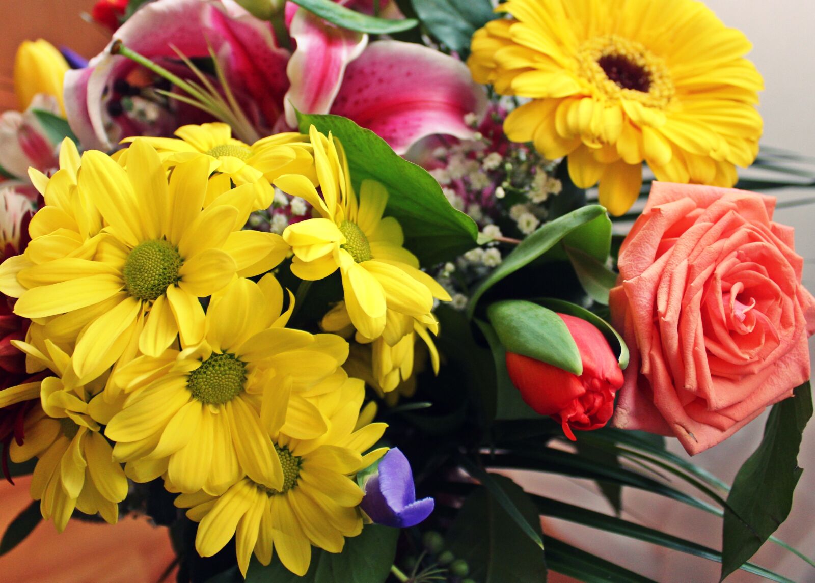 Canon EOS 700D (EOS Rebel T5i / EOS Kiss X7i) sample photo. Flowers, bouquet, coloring photography