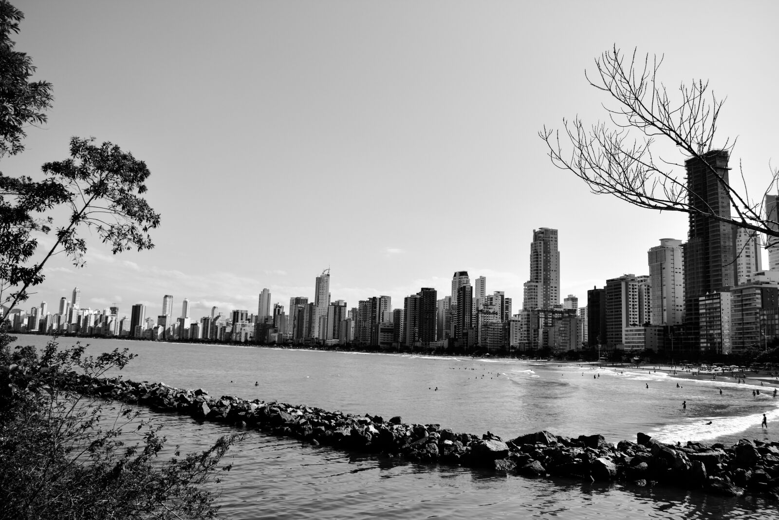 Nikon D3400 sample photo. Variants, no person, body photography