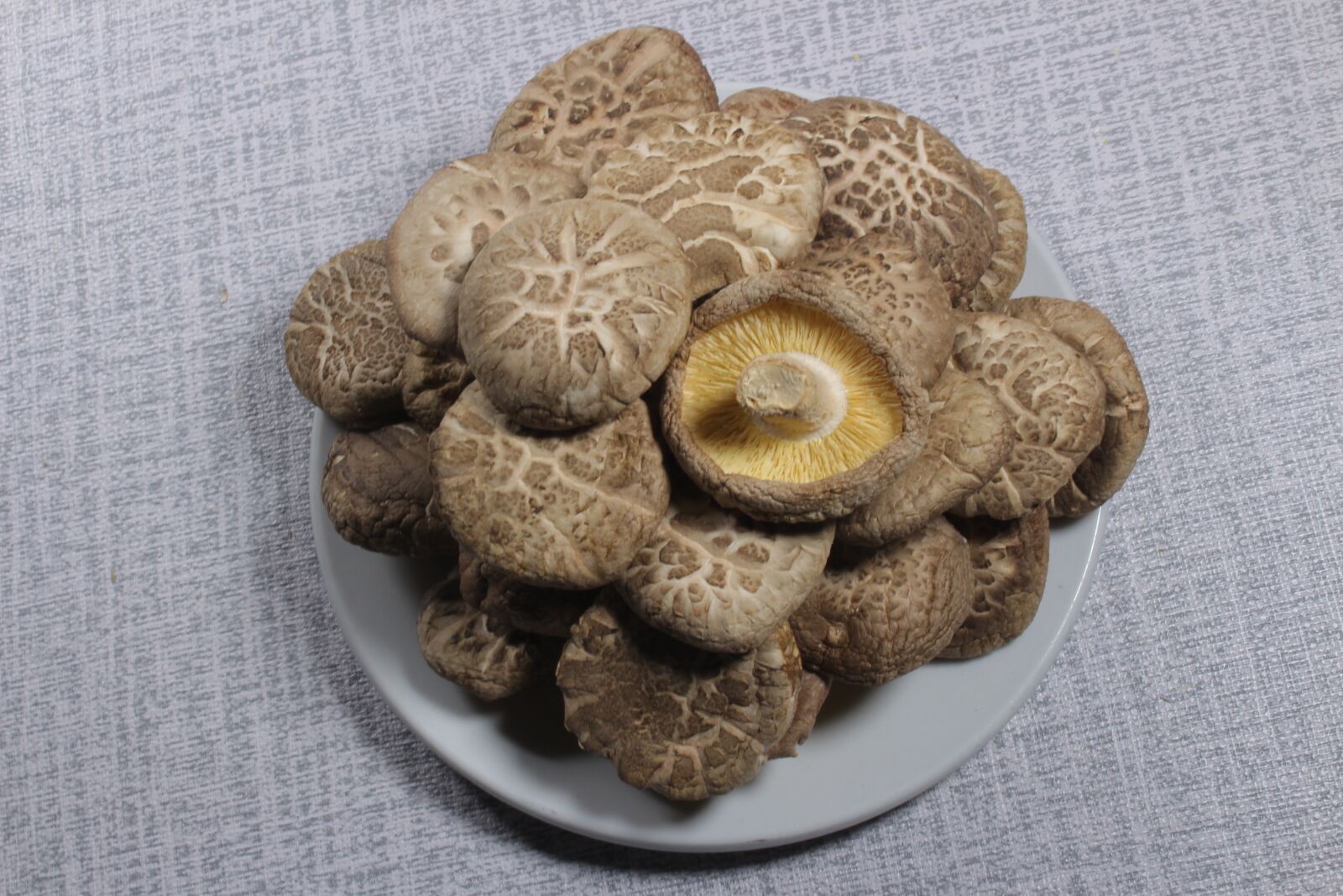 Canon EOS 700D (EOS Rebel T5i / EOS Kiss X7i) sample photo. Mushroom, thin mushroom, shiitake photography