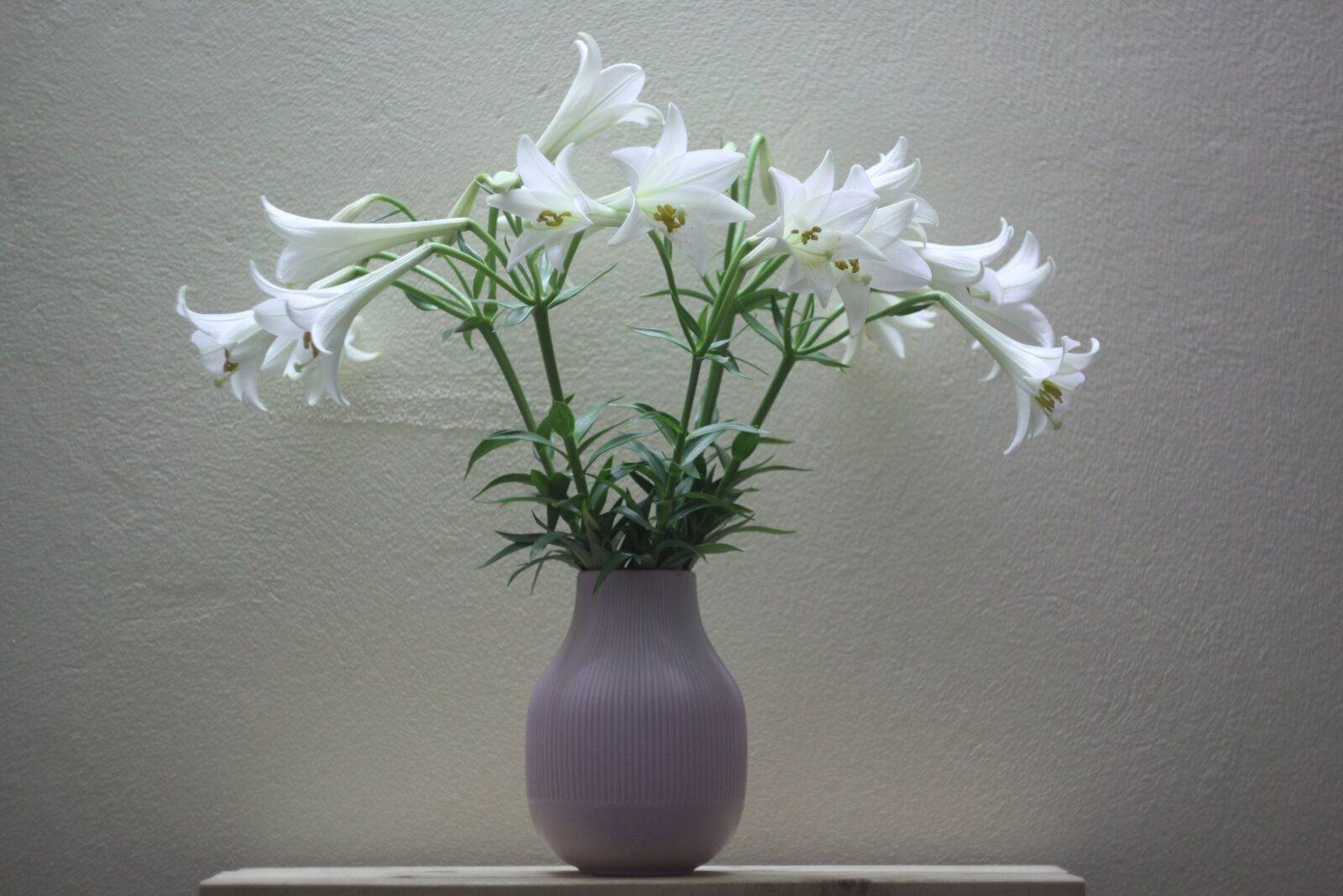 Canon EOS 50D sample photo. White lily, helios 44m7 photography