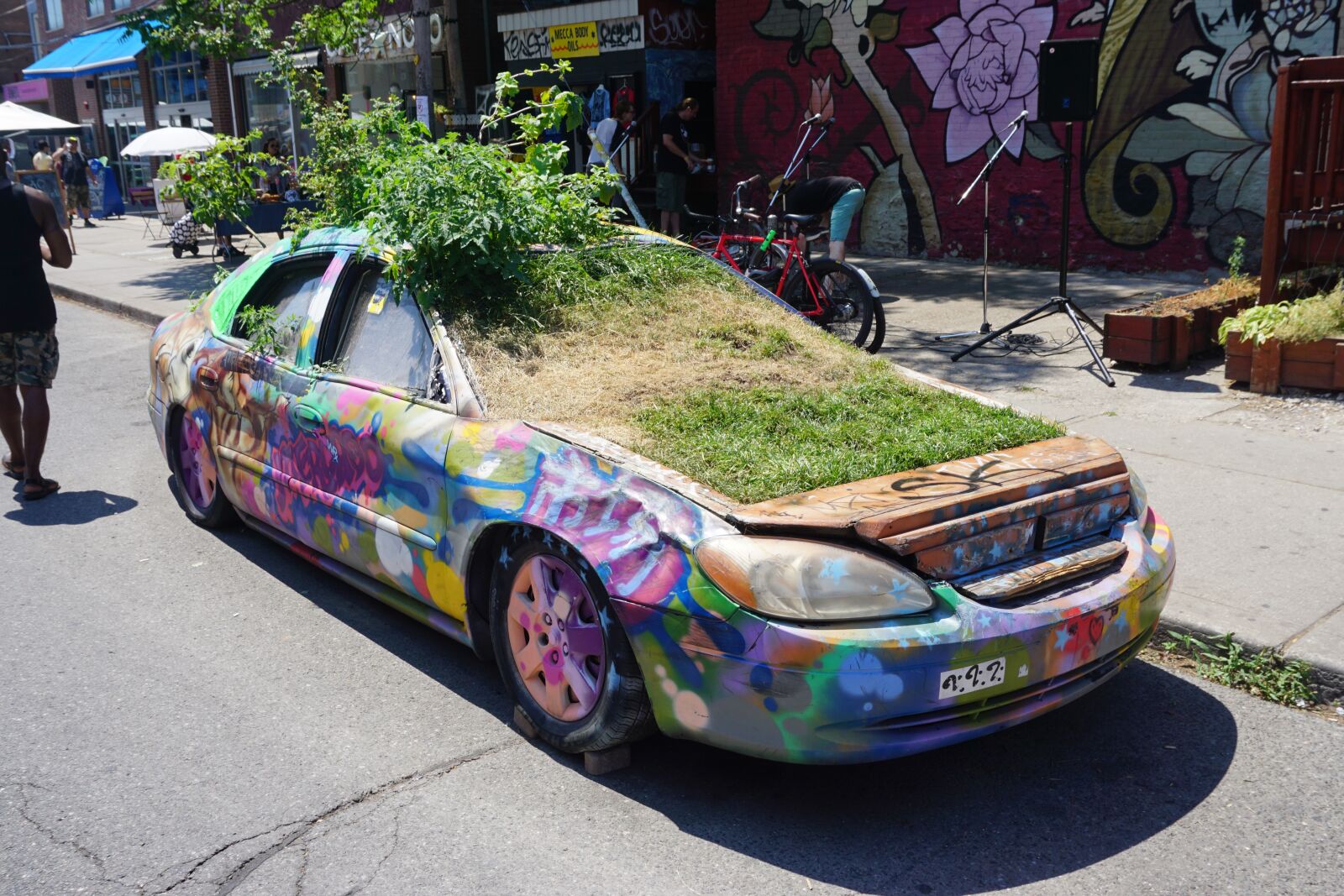 Sony a6000 sample photo. Auto, plant, street art photography