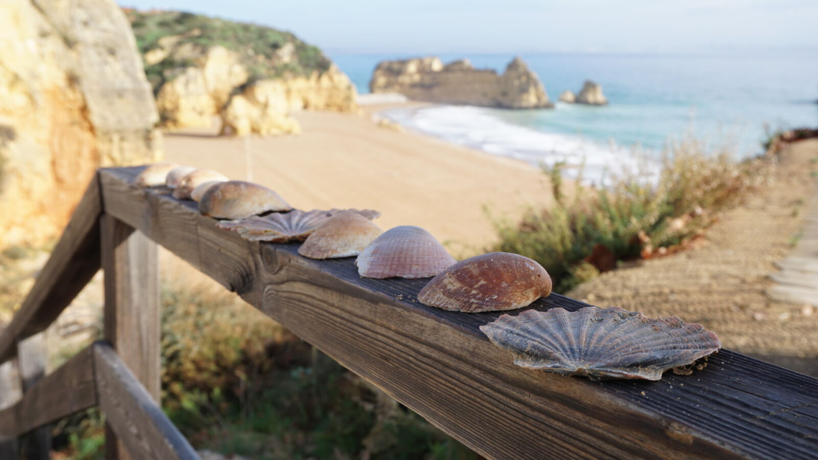 Sony a6000 sample photo. Beach, faro, lagos, lovely photography