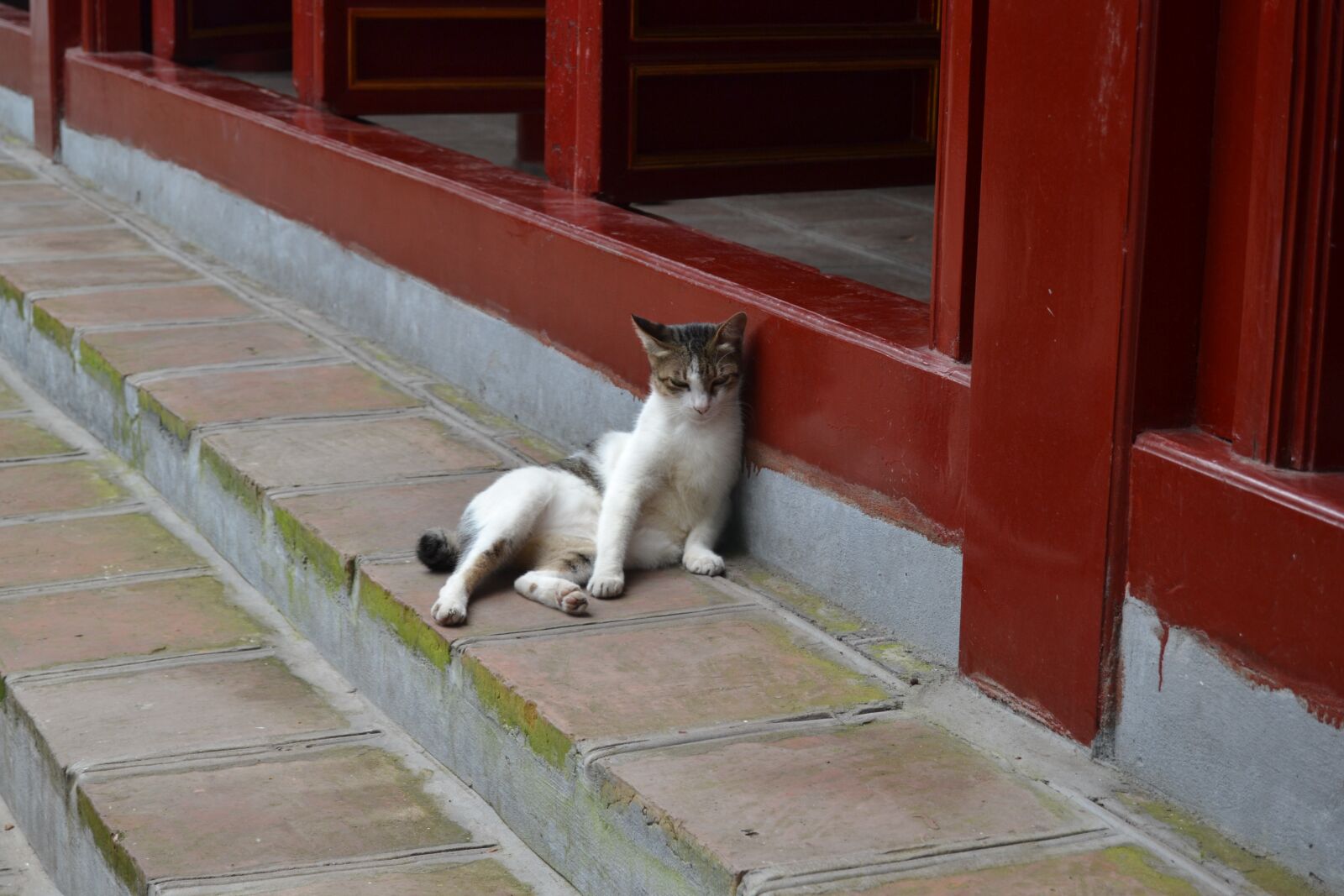 Nikon D3100 sample photo. Vietnam, hanoi, asia photography