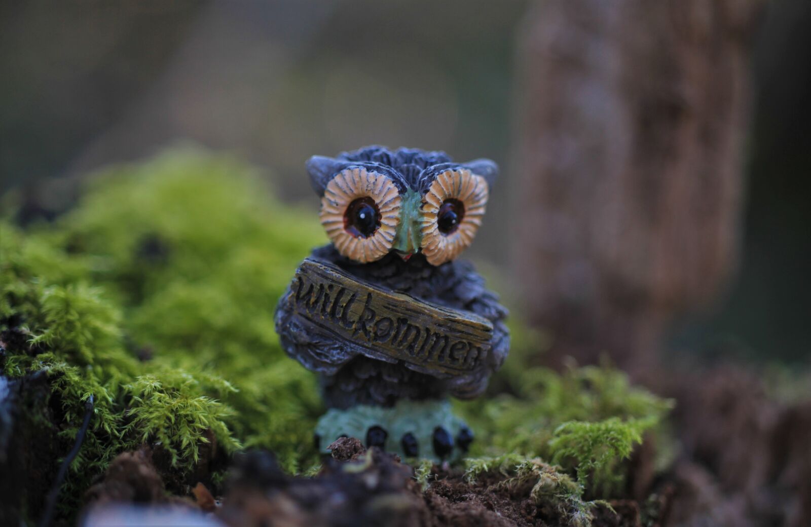 Canon EOS 7D sample photo. Owl, figure, moss photography