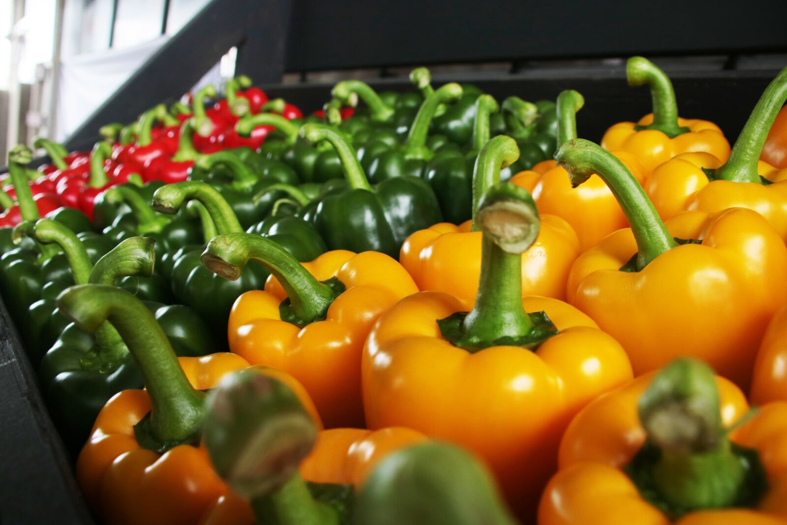 Canon EOS 760D (EOS Rebel T6s / EOS 8000D) sample photo. Paprika, red, green photography