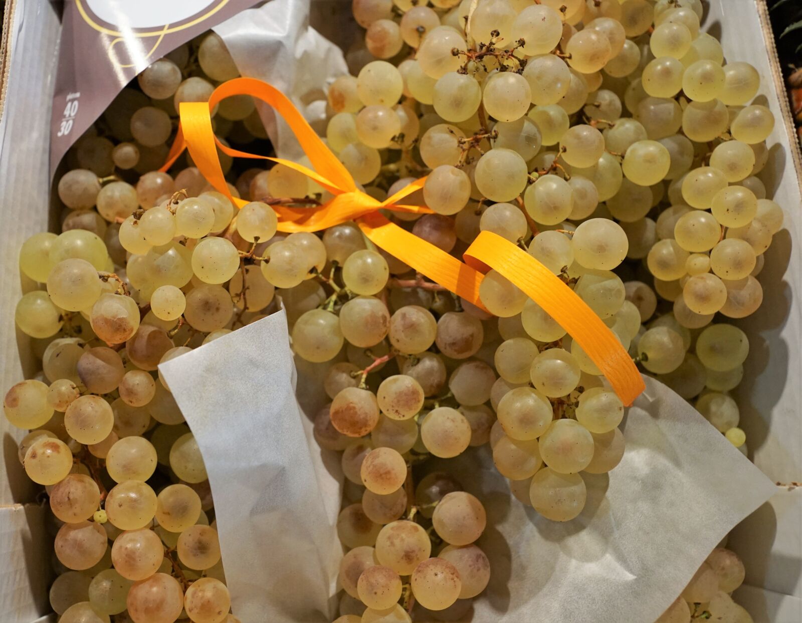 Sony ILCA-77M2 + Sony DT 16-50mm F2.8 SSM sample photo. Grapes, wine, vine photography