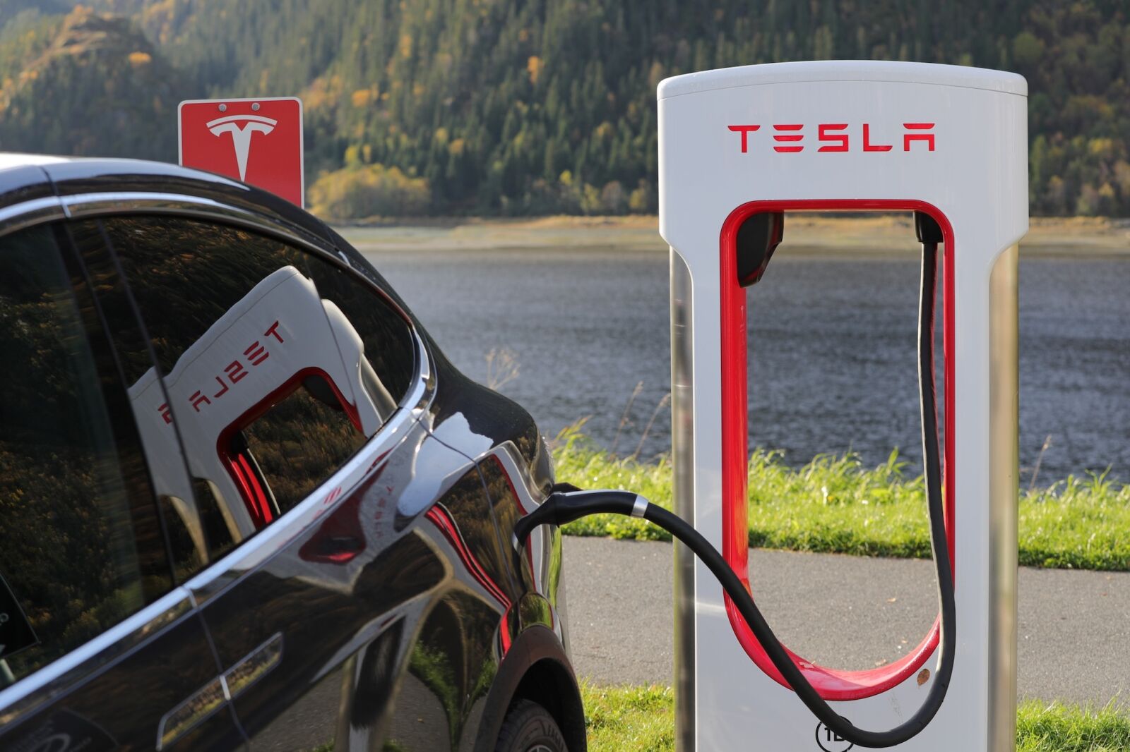 Canon EOS-1D X Mark II sample photo. Tesla, tesla model x photography