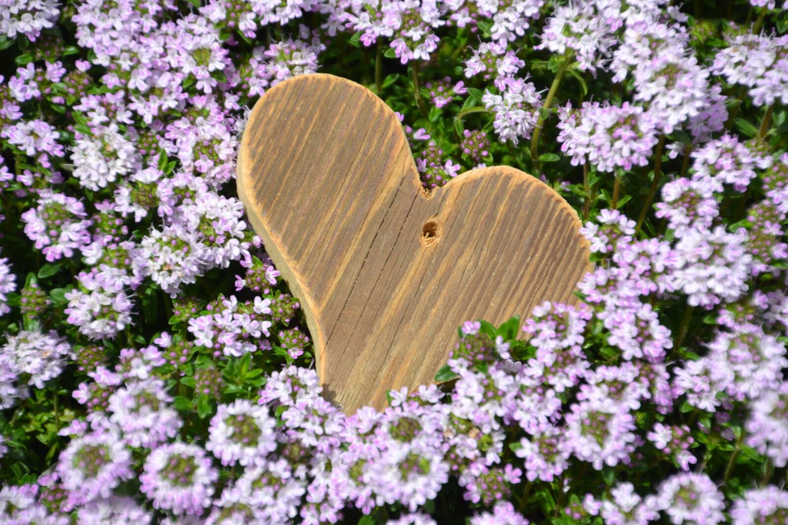 Nikon D3100 sample photo. Love, heart, mother's day photography