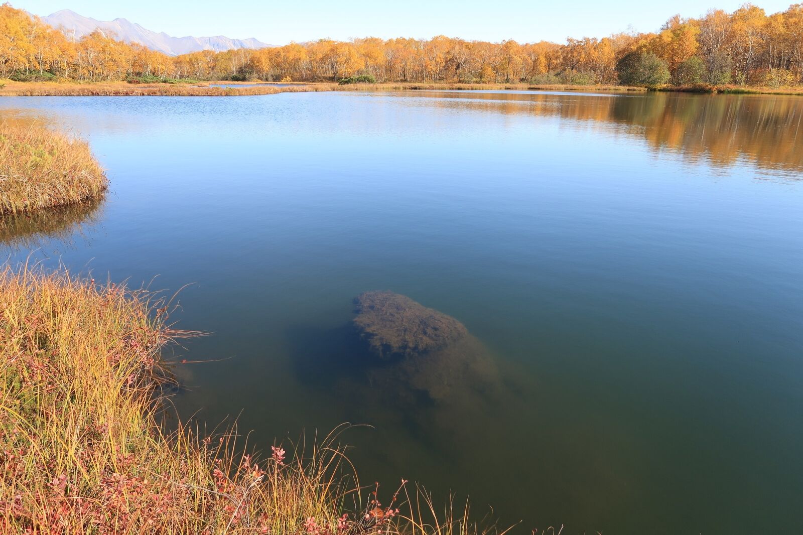 Canon PowerShot G7 X Mark II sample photo. Autumn, lake, forest photography