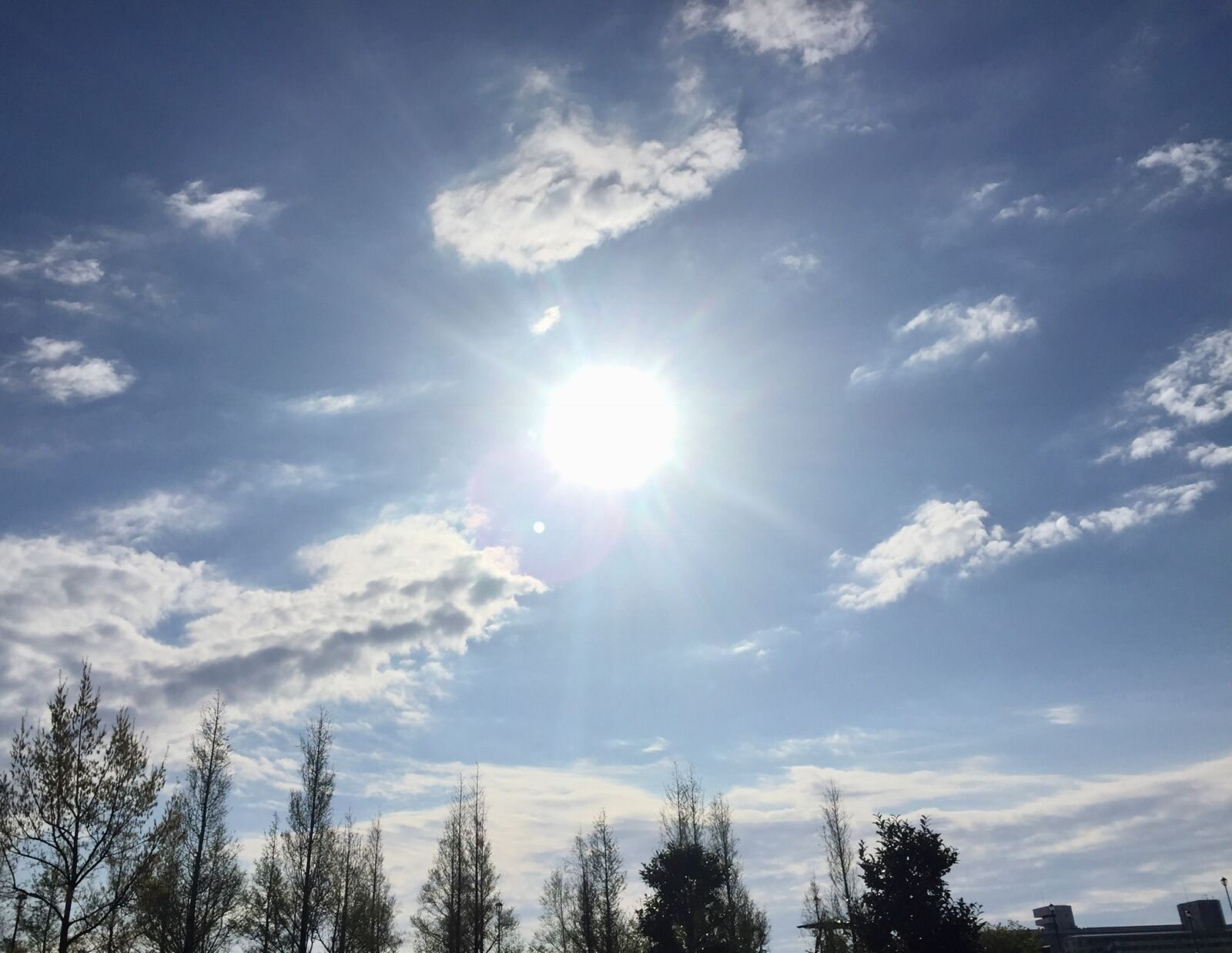 iPhone 6 back camera 4.15mm f/2.2 sample photo. Blue, sky, light, of photography
