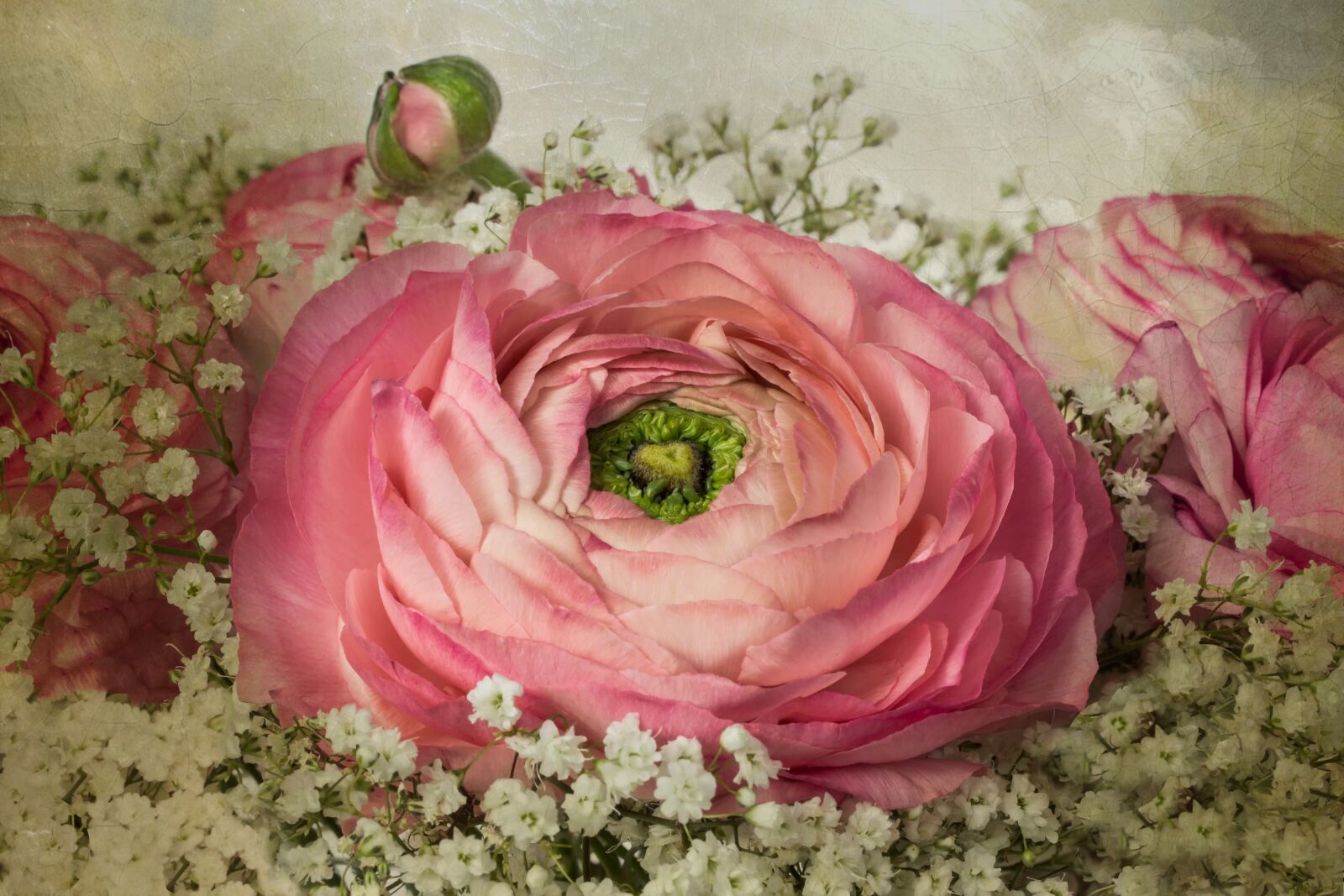 Canon EF-S 60mm F2.8 Macro USM sample photo. Nature, flowers, bouquet photography