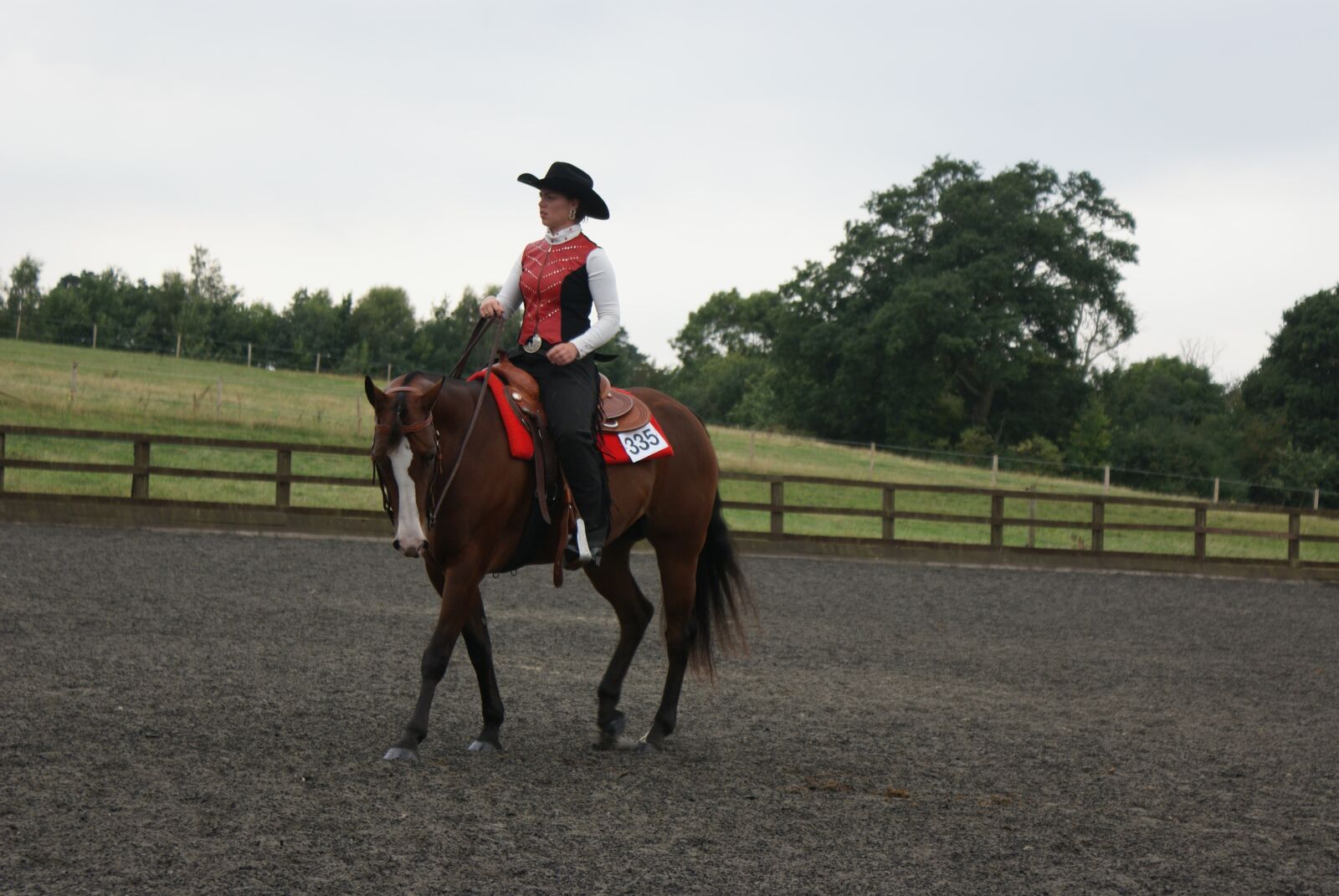 Sony Alpha DSLR-A200 sample photo. Horse, show, rider photography