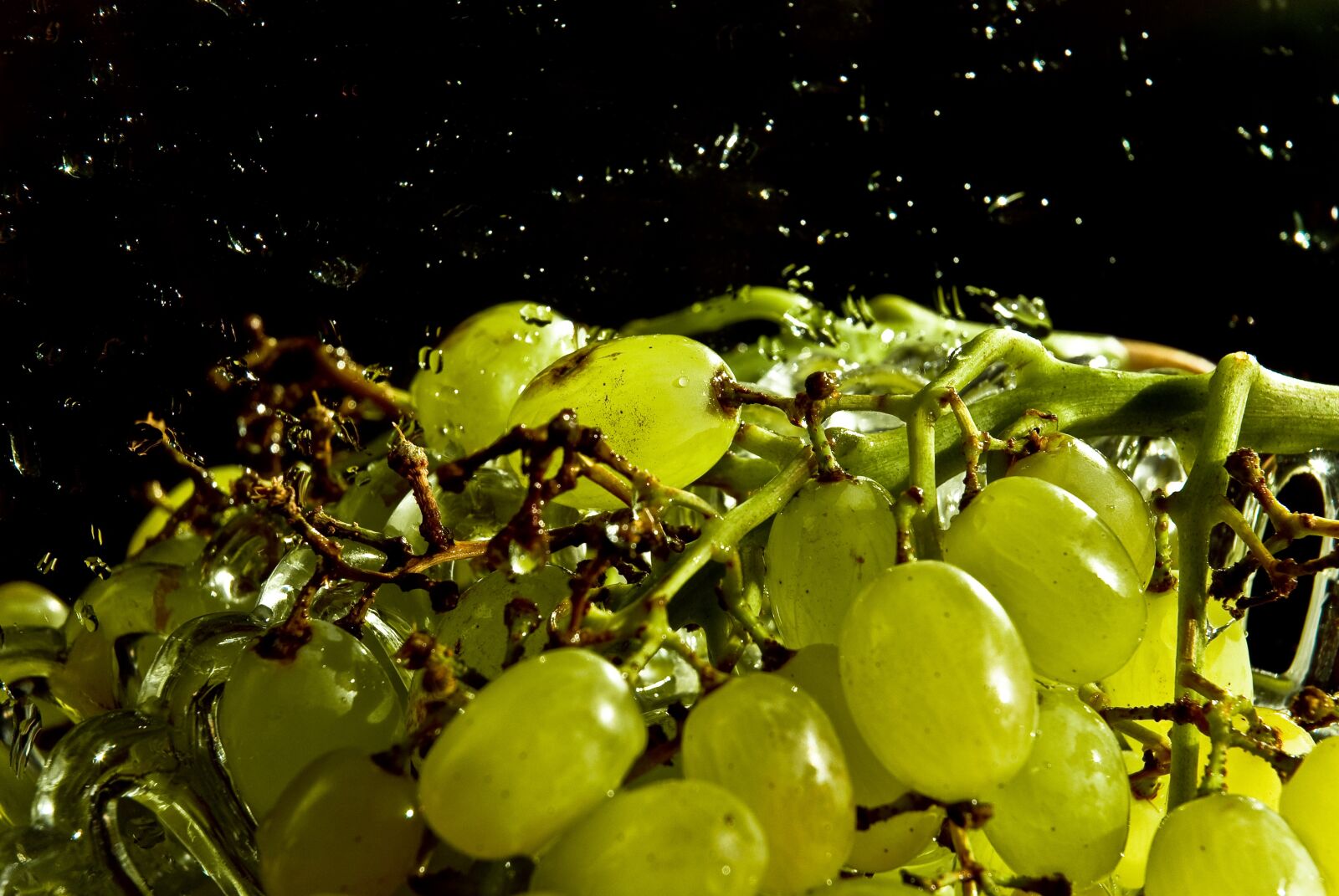 Nikon D80 sample photo. Grapes, bunch of grapes photography